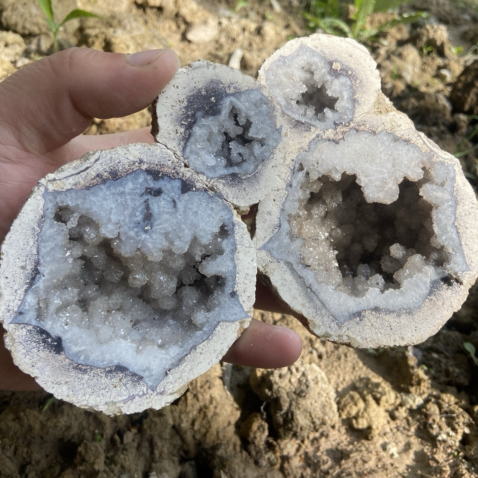 Stunning Double Cell Druzy Quartz Geodes 2 Pc 1 Pound 11 Oz