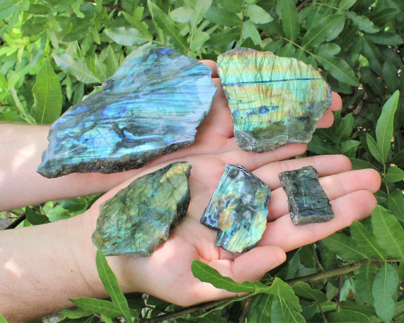 1 lb Wholesale Lots Natural Labradorite Slab / Slice Polished Face 8 – 14 Peices