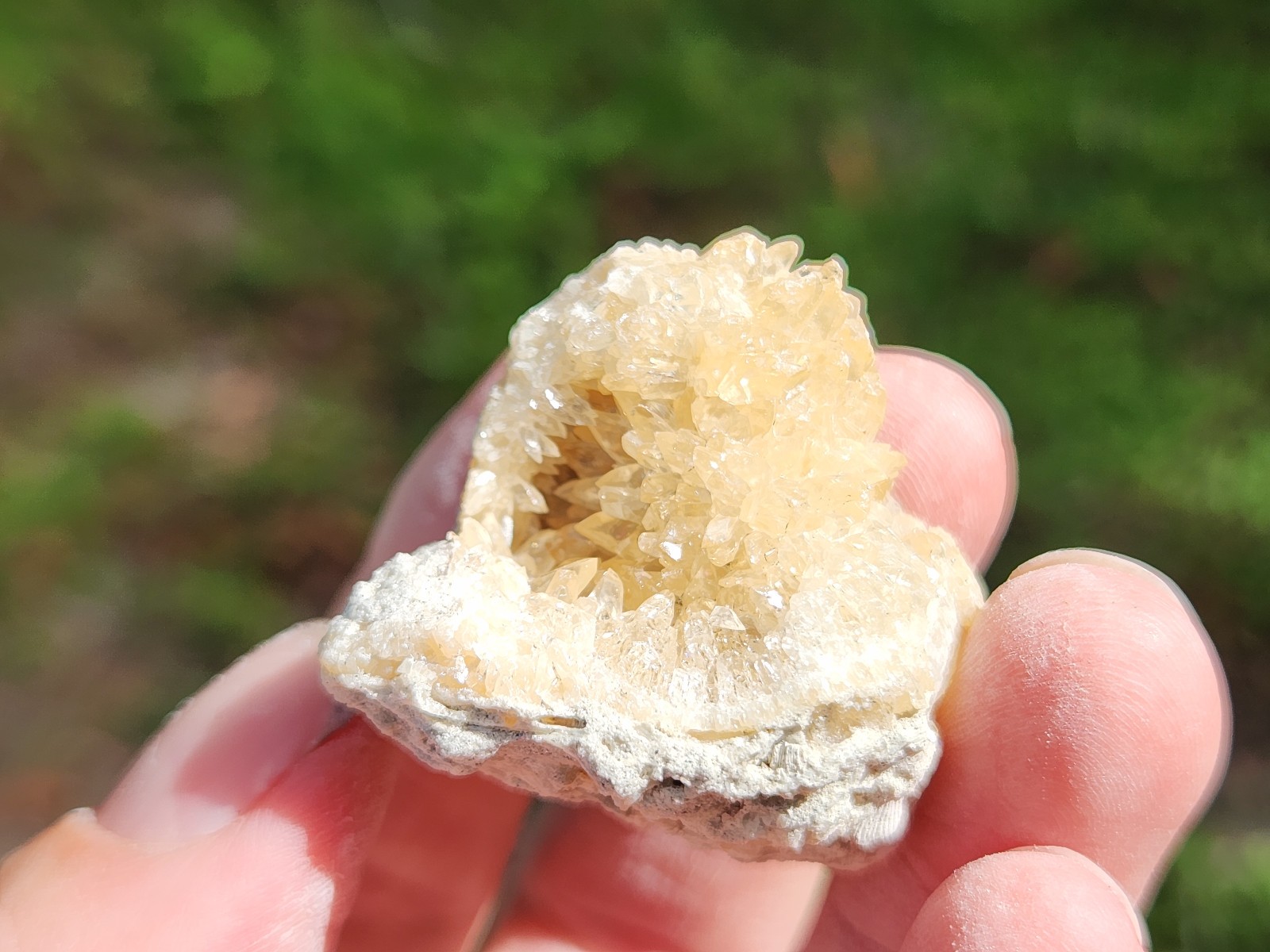 SET OF 3 Calcite CRYSTAL WHELK Shells Fossil Rucks Pit Florida dogtooth LOT