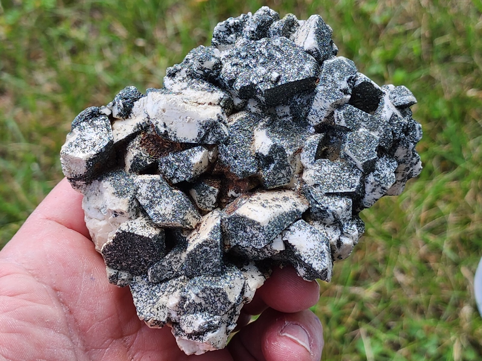 VERY RARE,WHITE PERICLINE CRYSTALS WITH CHLORITE,NICE LUSTER,ITALY