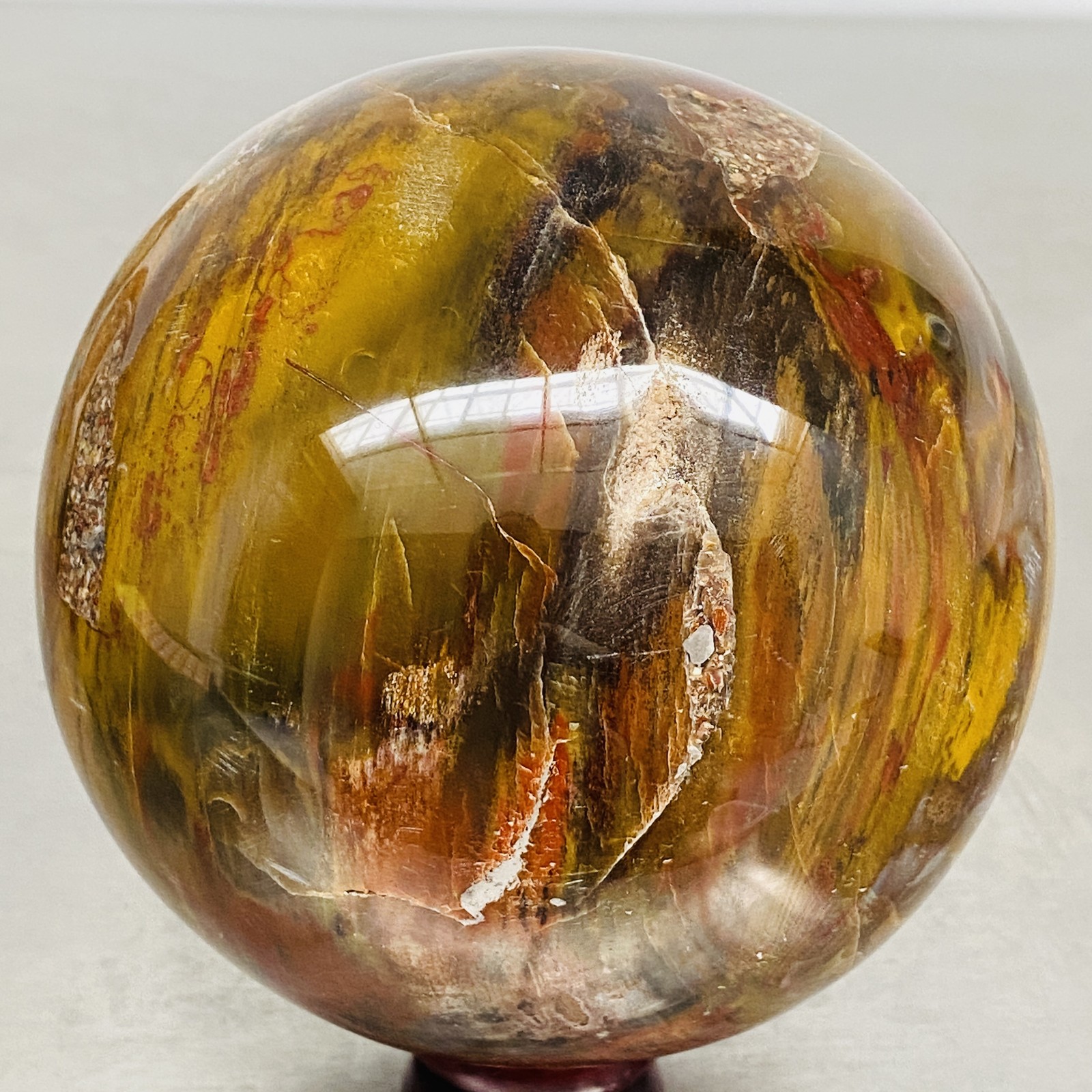 Natural Petrified Wood Polished Stone Quartz Crystal Sphere Ball Healing 2000G