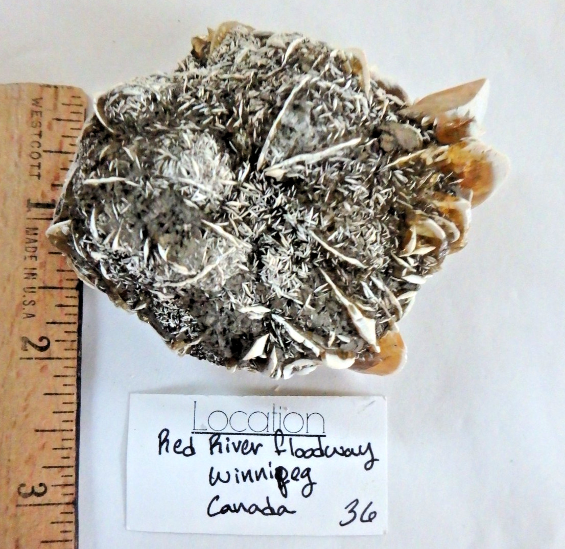 Crystal Gypsum Mineral $36 Red River Floodway, Canada 107.5 grams