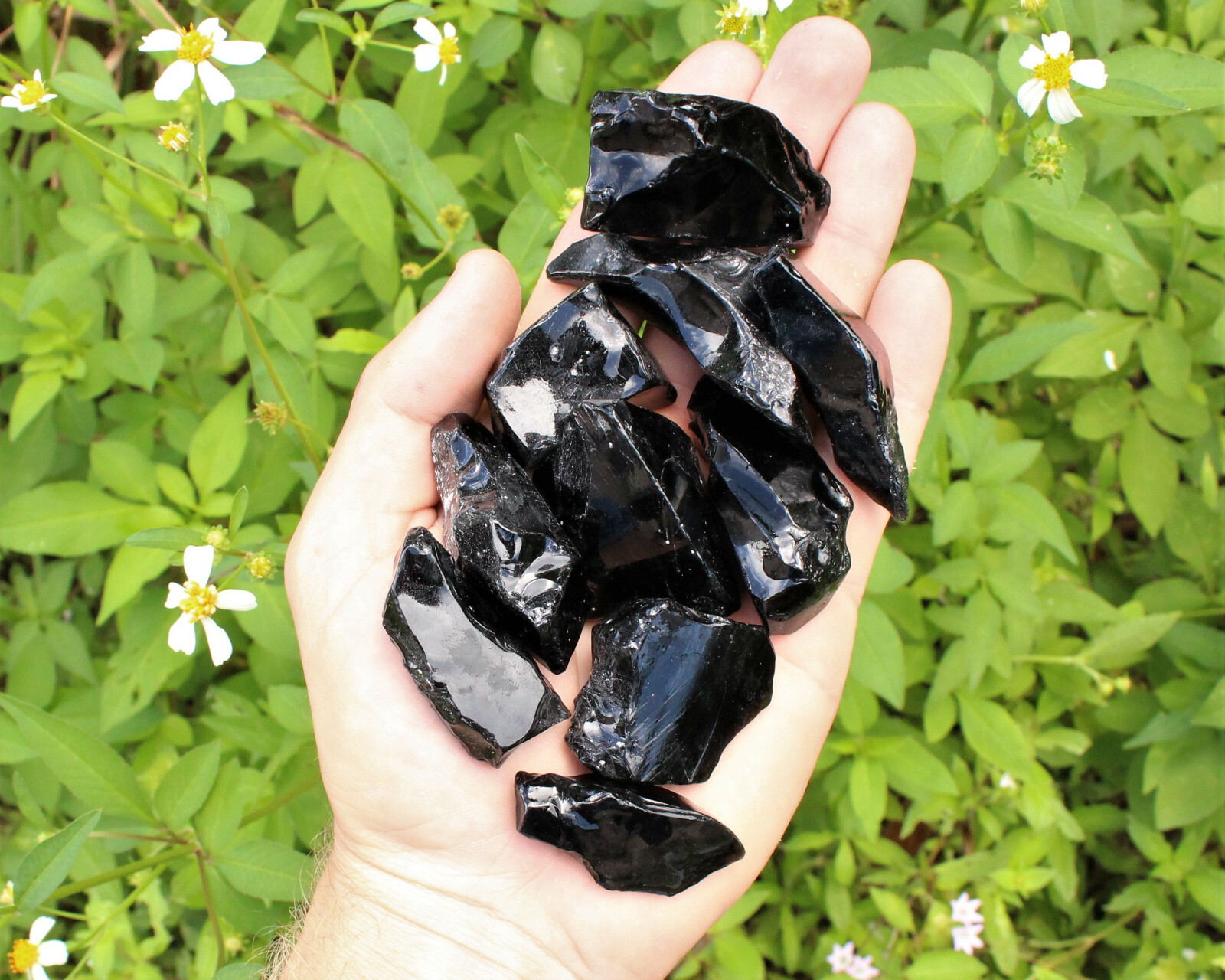 Raw Natural Black Obsidian Crystals: Choose How Many Pieces – Rough Obsidian