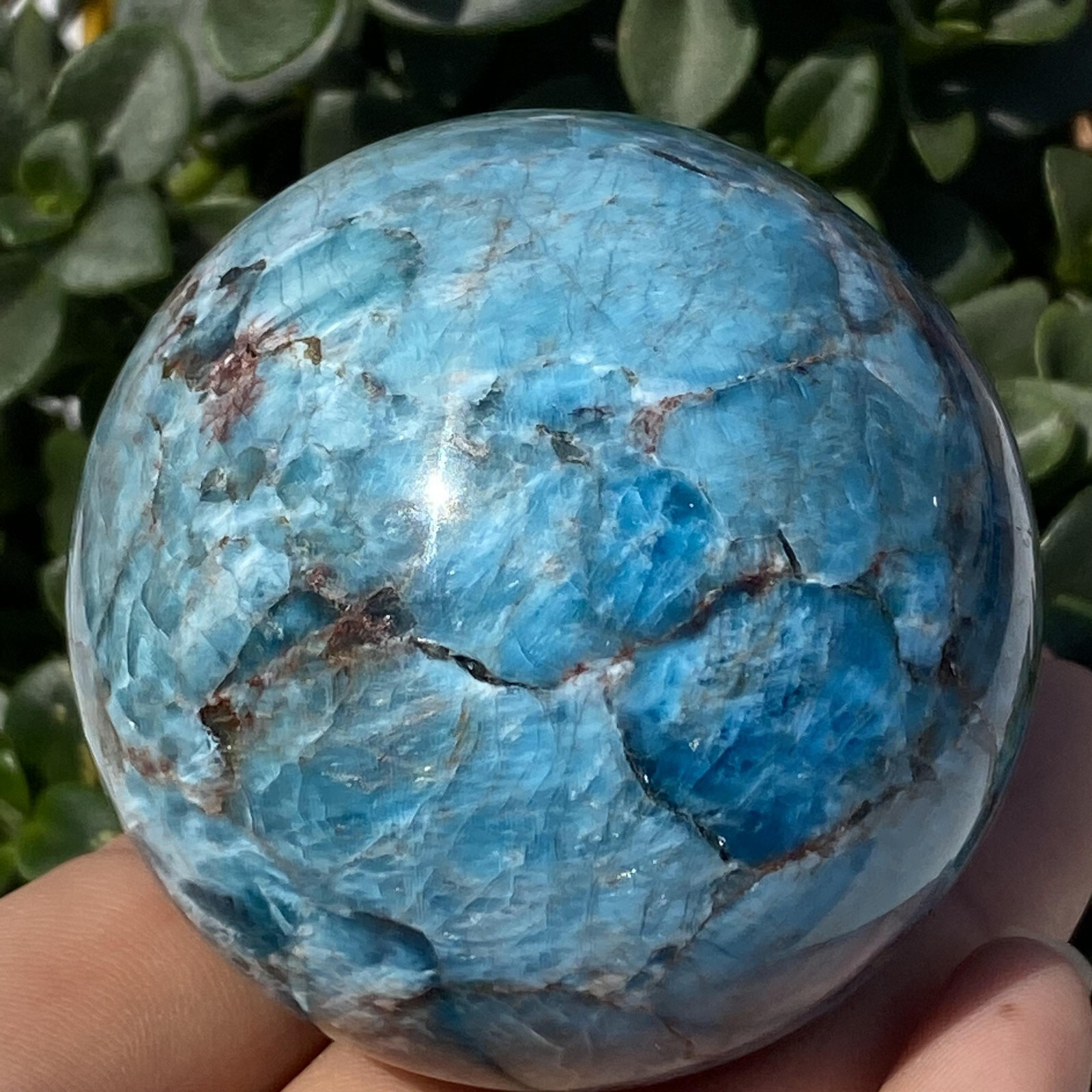 1pc Natural Blue Apatite Ball Sphere Quartz Crystal Mineral Reike Healing 58.7mm