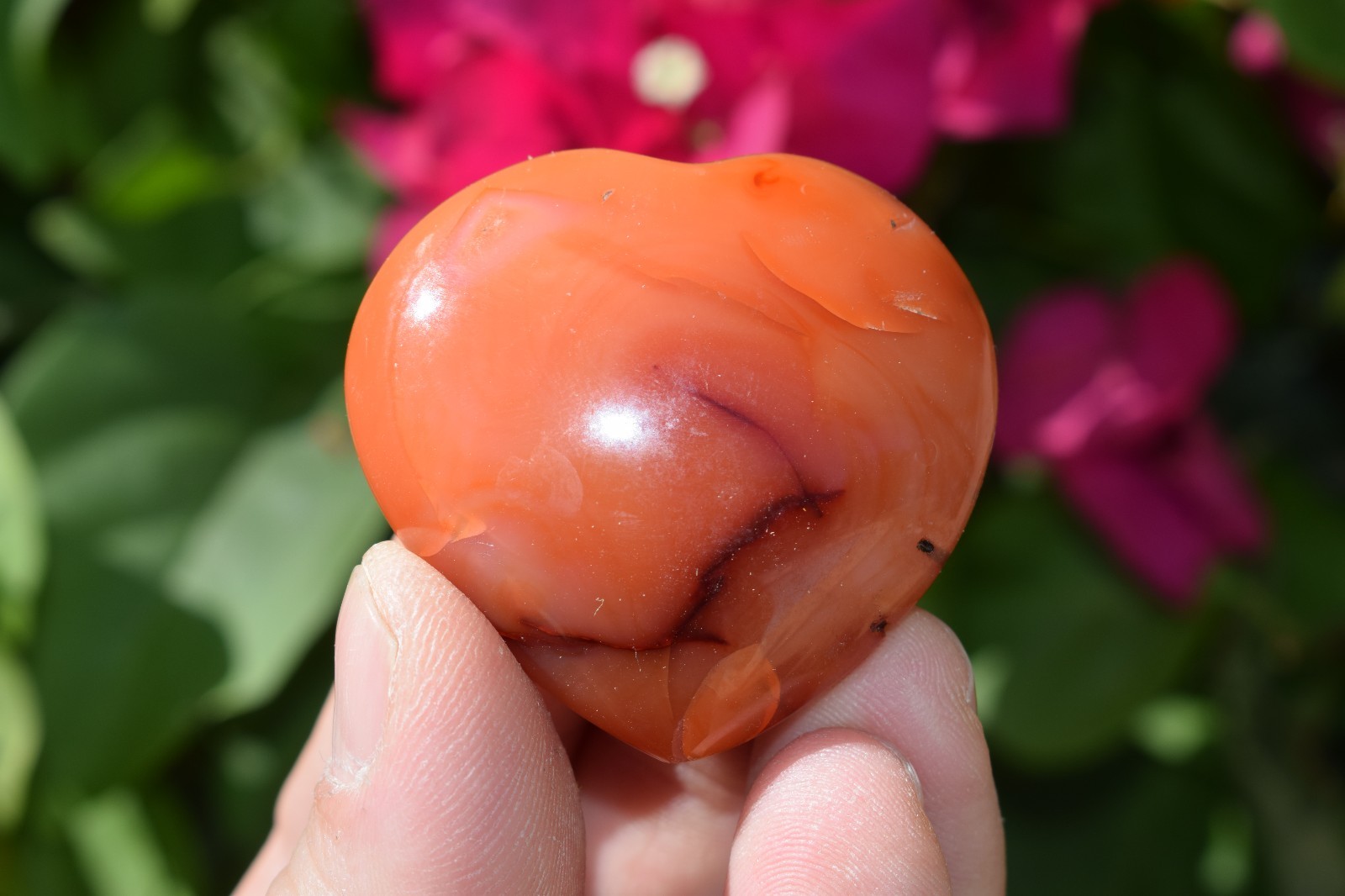 [1] Carnelian Agate Crystal Puffy Heart / Palm Stone [Madagascar] ZENERGY GEMS™