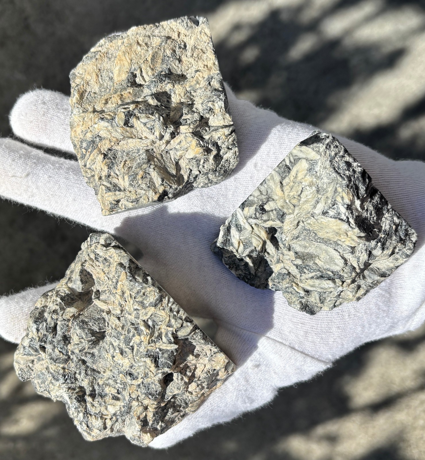 1lb+ LOT PINOLITH JASPER ROUGH LARGE SPECIMENS SPECIMEN 1 POUND LARGE CHUNKS