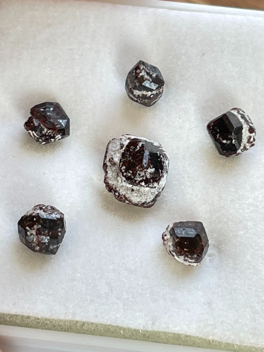 Lot of 5 Andradite Garnet Crystals on Matrix Wada Pass Nagano Japan Mineral Spec