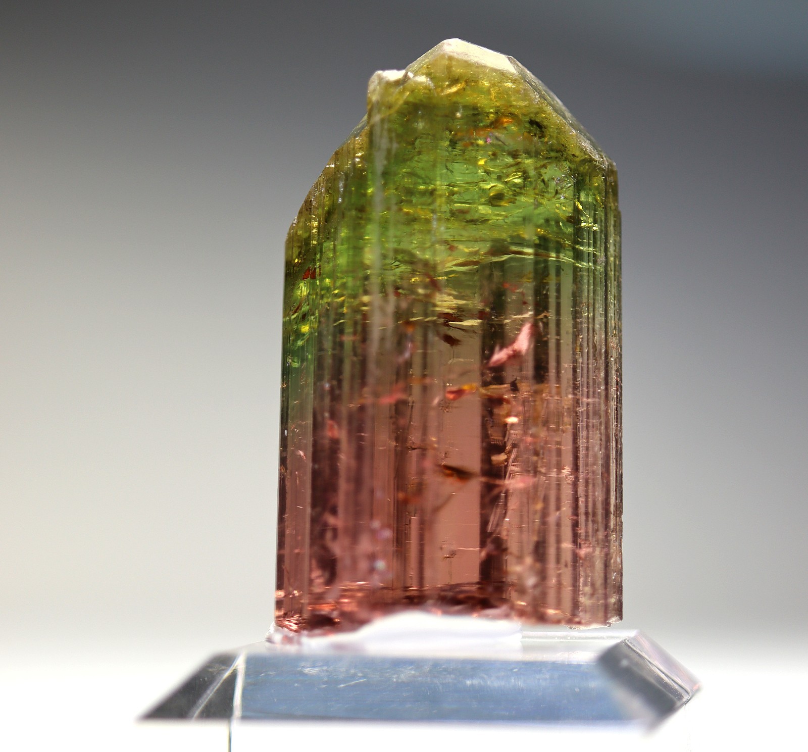 Gem Tourmaline. Nuaparra Pegmatite, Zambezia Prov., Mozambique. About 50 grams