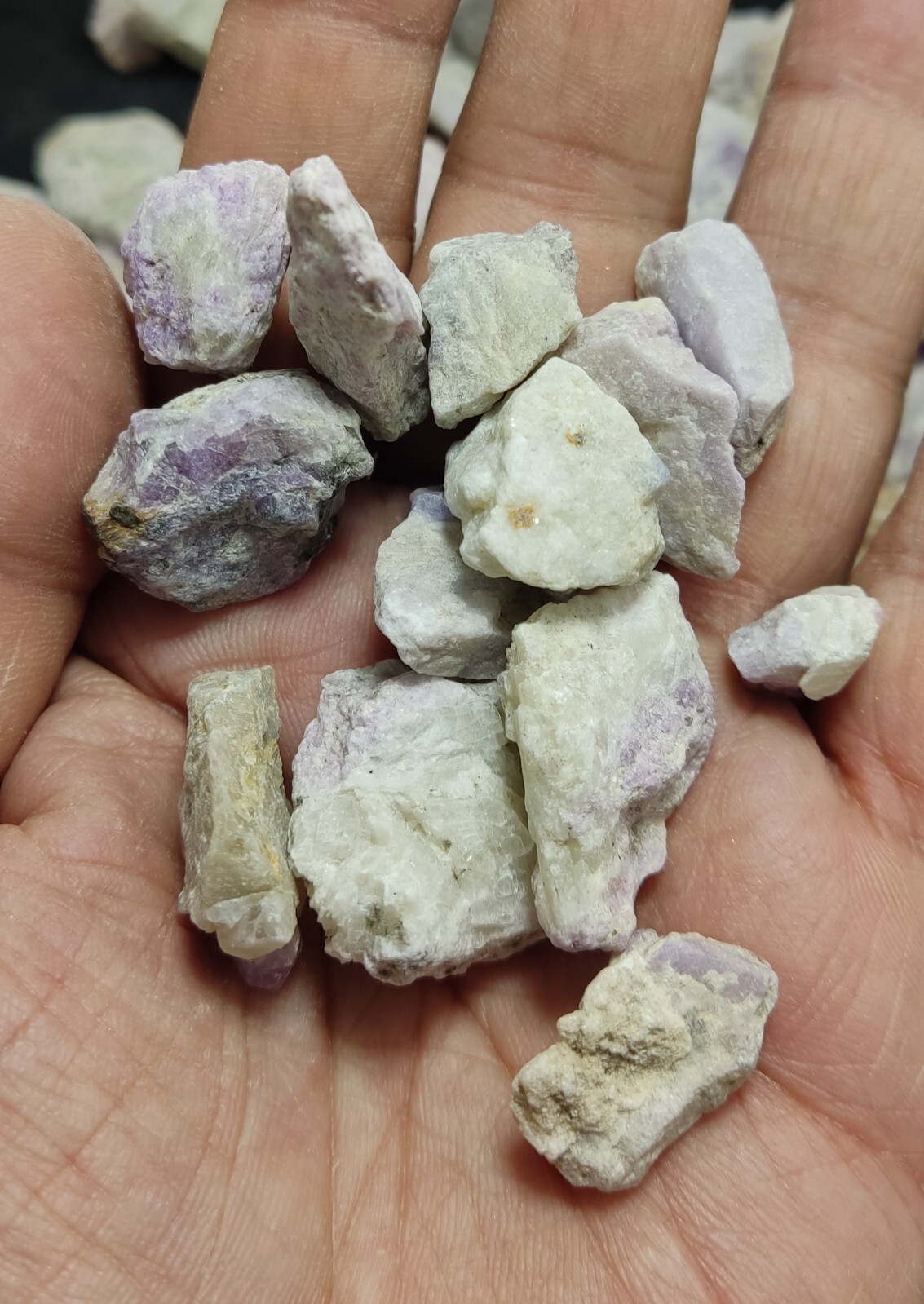 1400 grams rough fluorescent Hackmanite