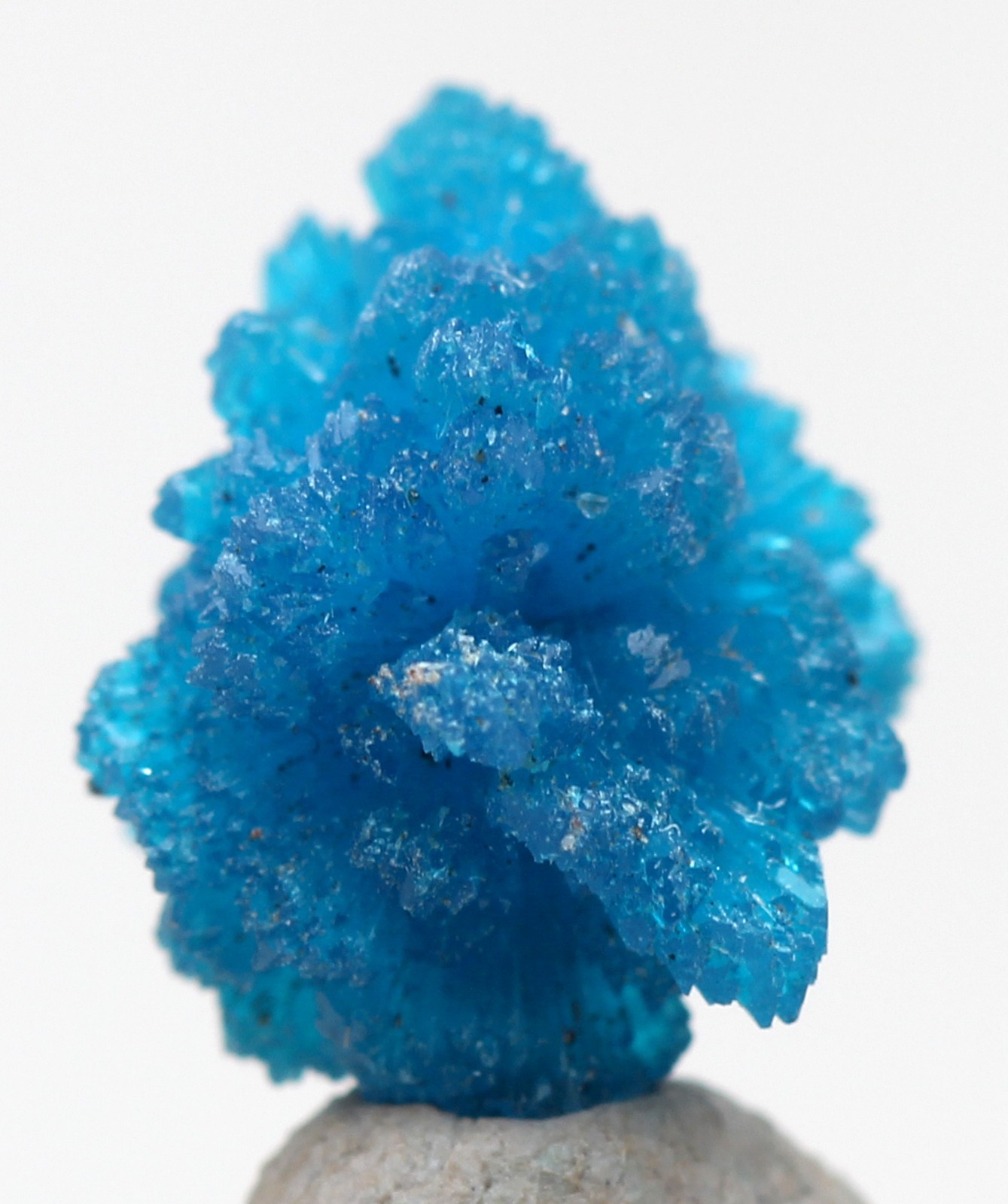 CAVANSITE Crystal Mineral Specimen Cluster Blue Healing Poona INDIA