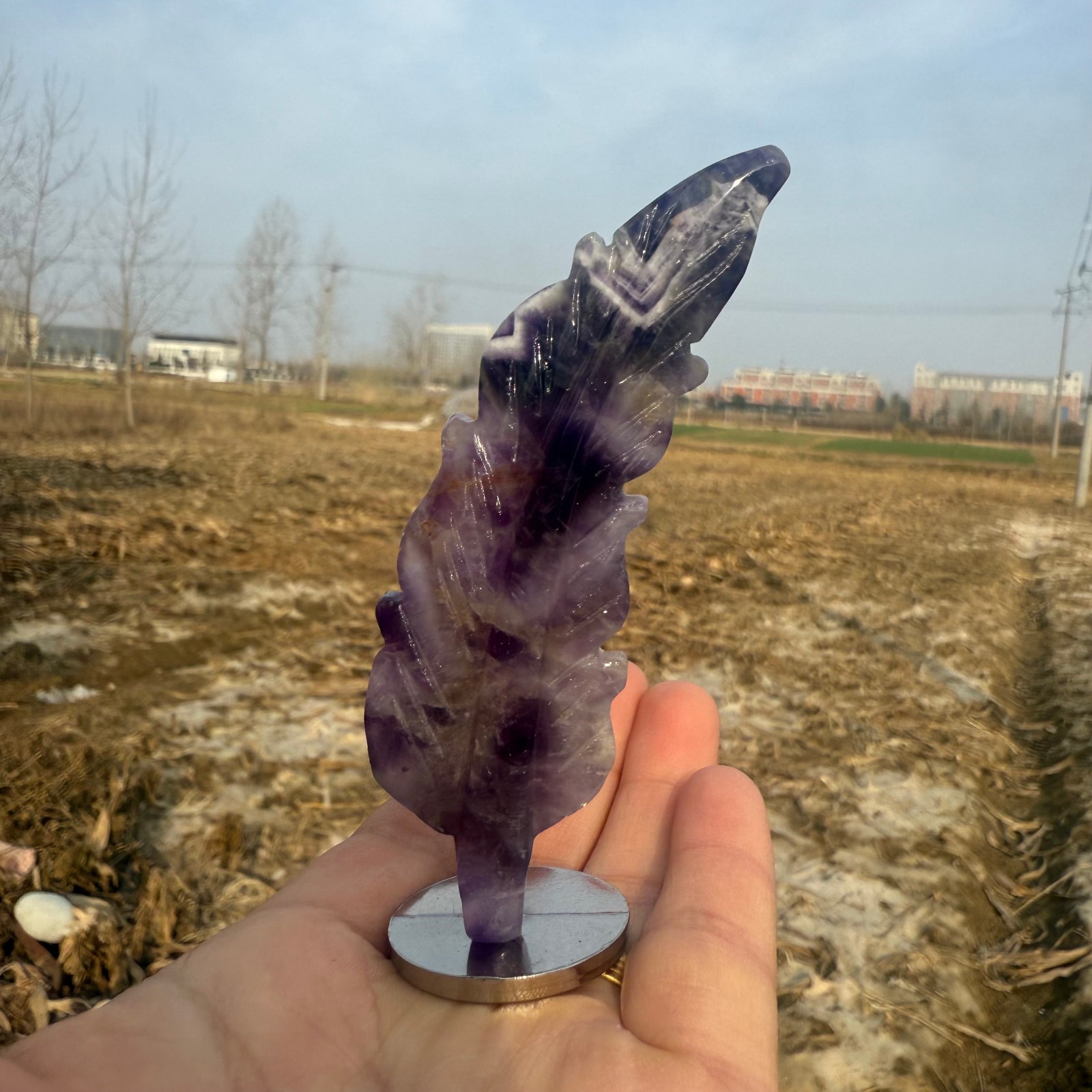 3.6″Natural Dream Amethyst hand carved Feathers Quartz Crystal heal Gift 1pc