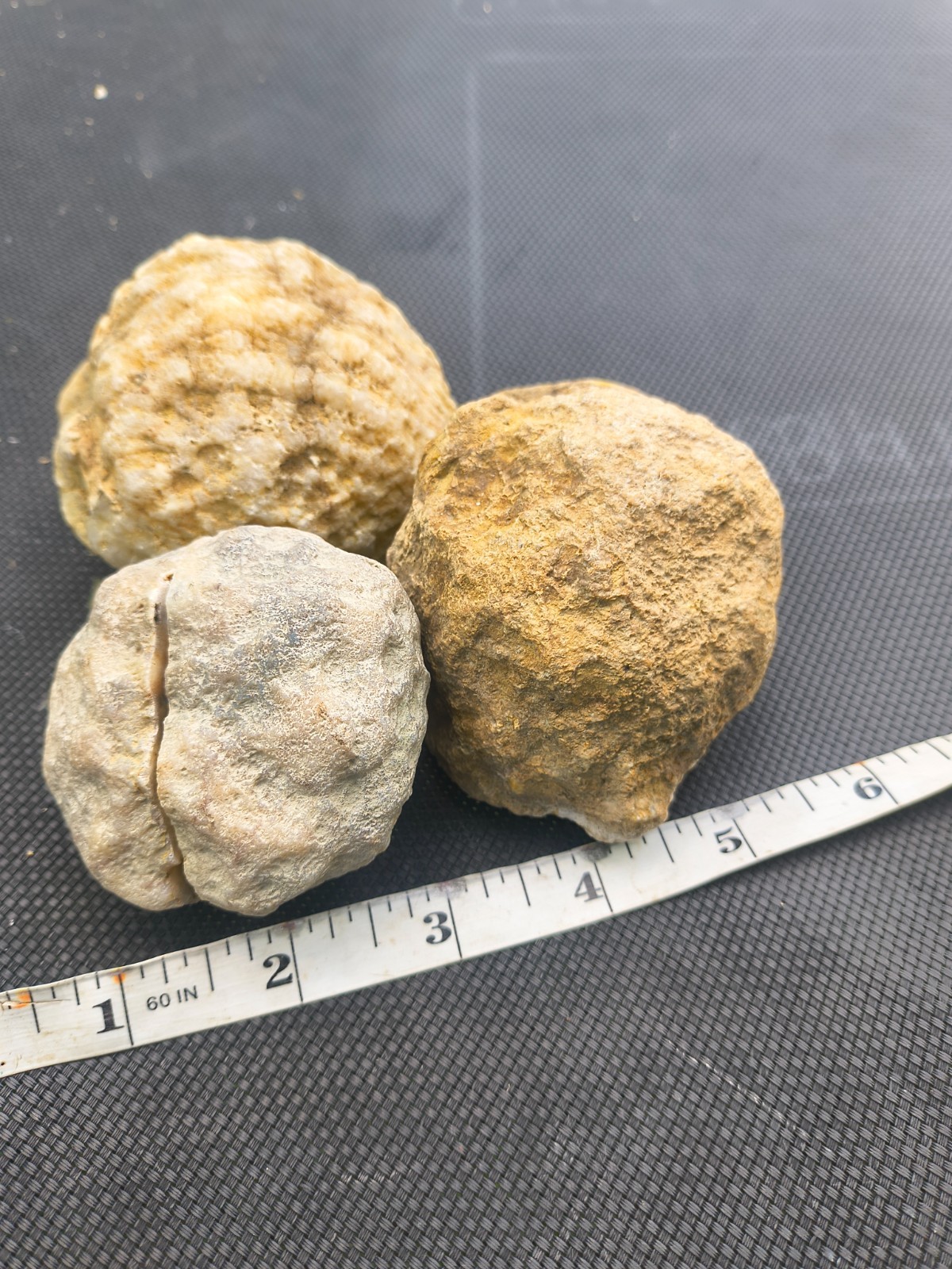 3 Large Kentucky Geodes – Pre-Scored Crack Your Own – KY Crystal Rock Lot