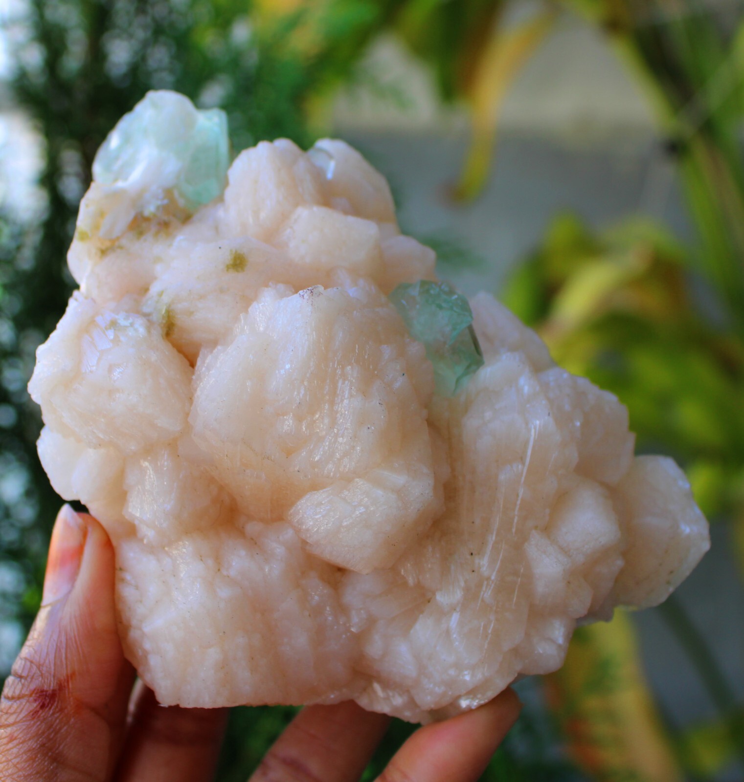 Green Apophyllite Crystals On Stilbite Minerals Specimen #M3