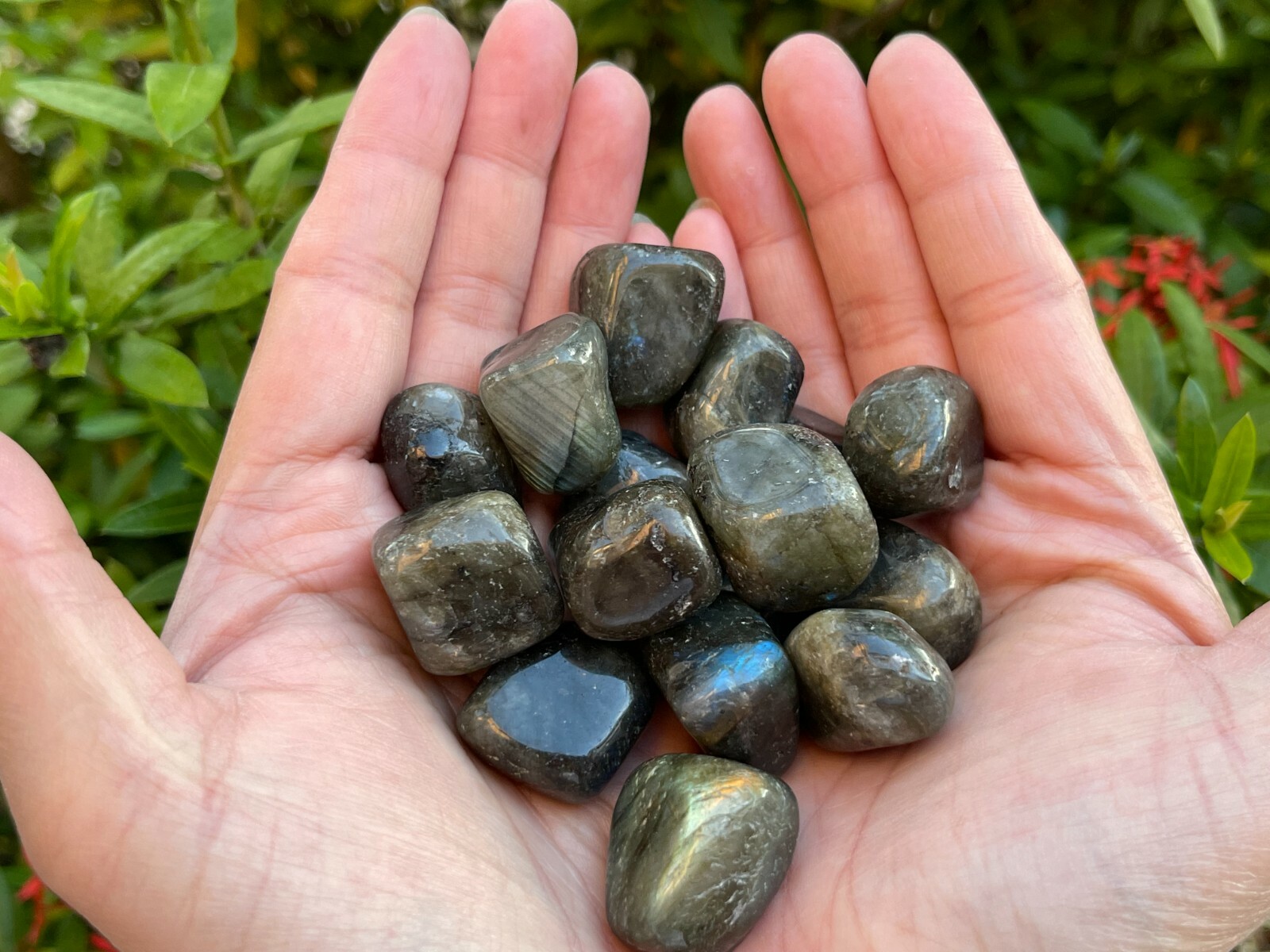 Labradorite Tumbled Stones, 0.75-1 Inch Tumbled Labradorite Stones,Wholesale Lot