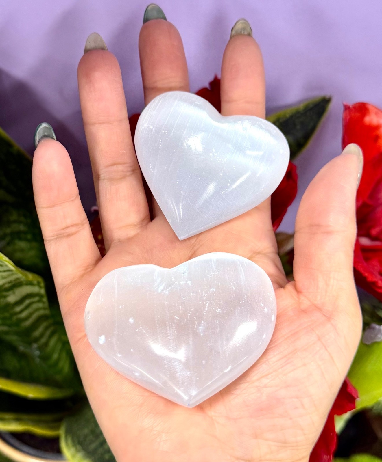 Wholesale Lot 12 PCs Natural Selenite Aka Satin Spar Heart ~5.5cm