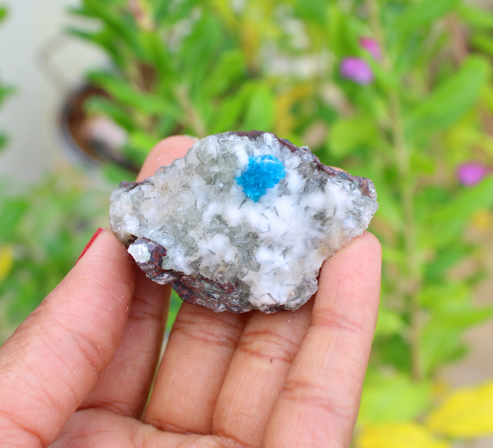 CAVANSITE ON MATRIX MINERALS SPECIMEN