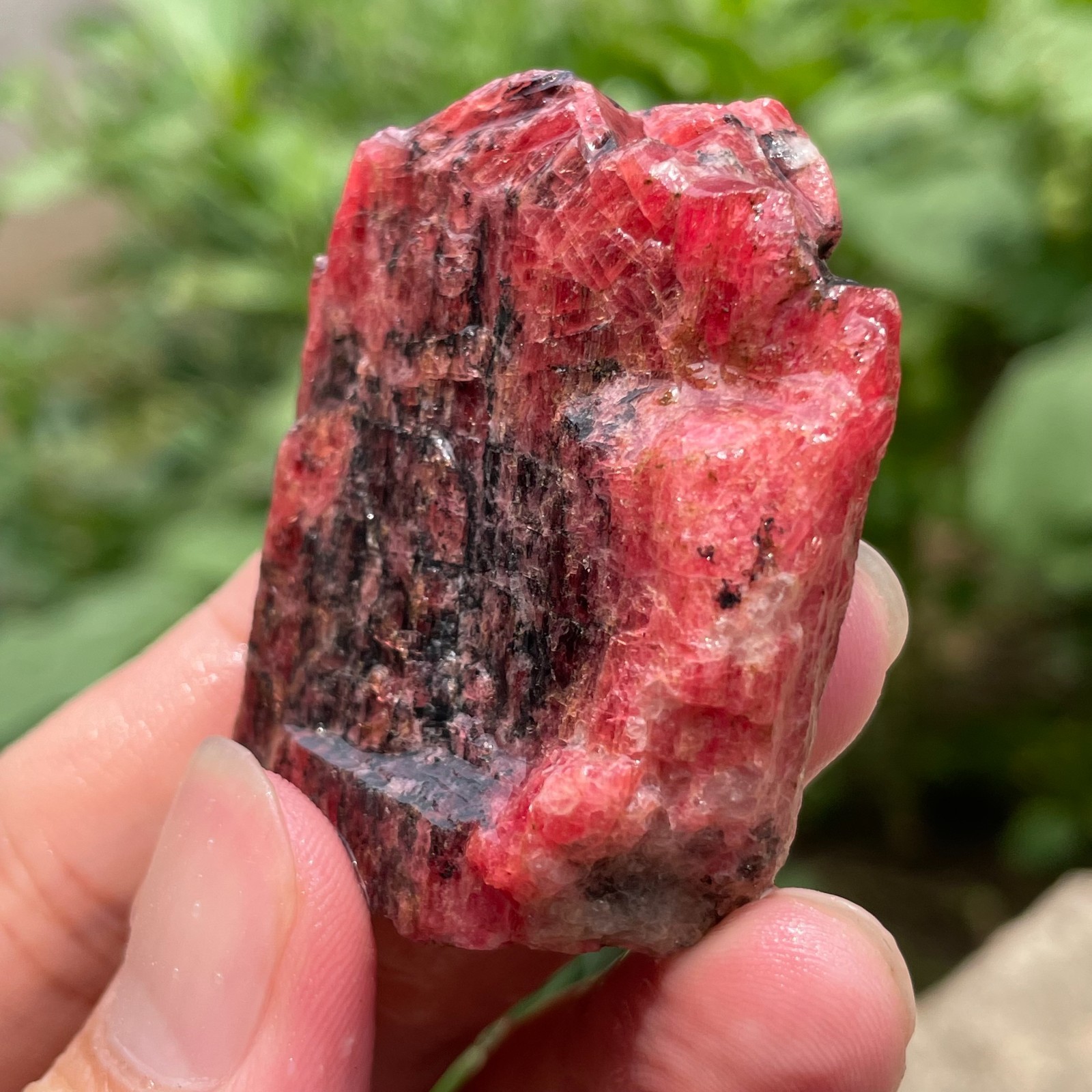 74g Small Raw Ore Red Black Rhodonite Quartz Gemstone Mineral Specimen