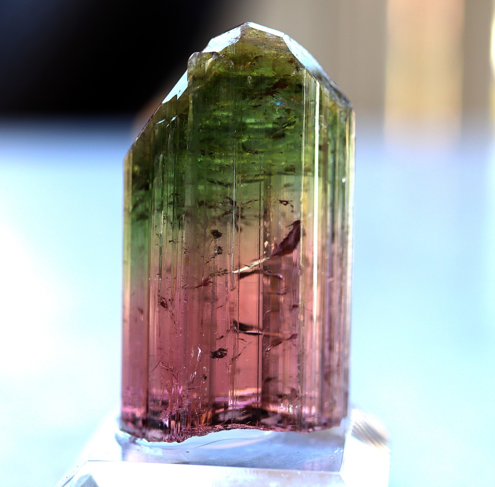 Gem Tourmaline. Nuaparra Pegmatite, Zambezia Prov., Mozambique. About 50 grams