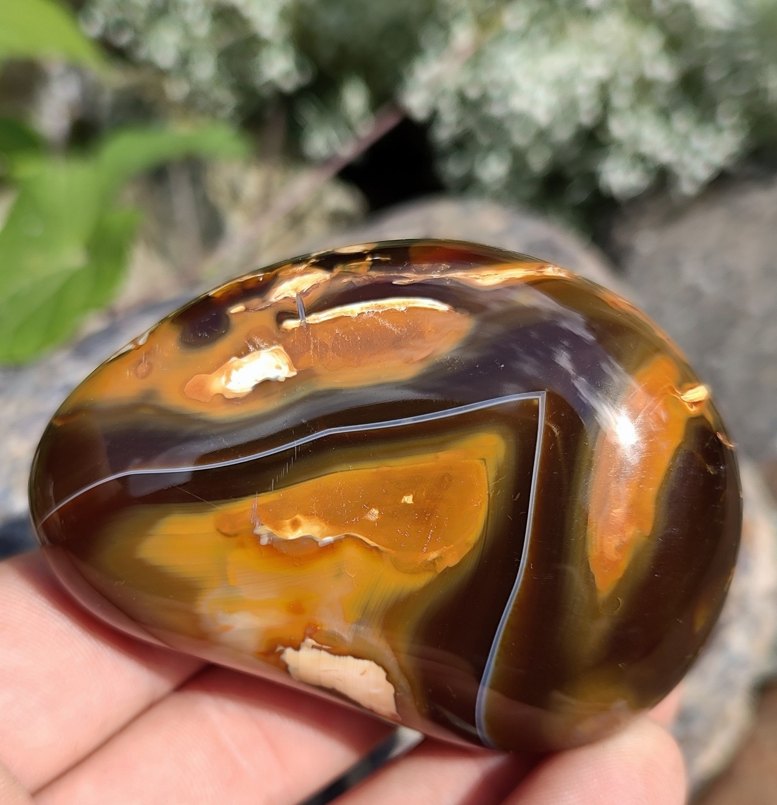 7.5 OZ NATURAL FLOWER SKIN AGATE, CARAMEL/CHOCOLATE FLOWER SKIN DISPLAY AGATE