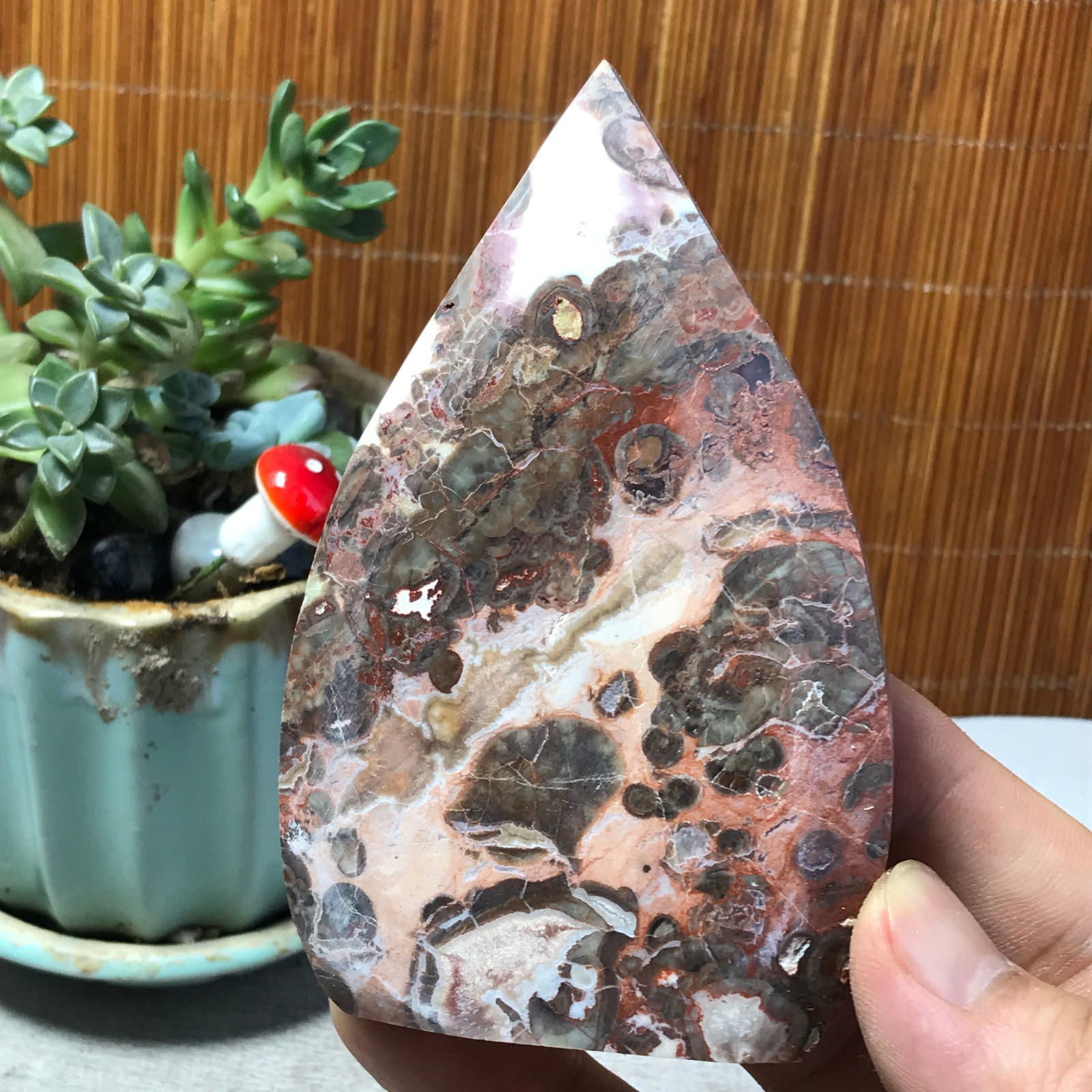 Natural money Mexico agate hand carve leaf Crystal Specimen free standing A6510