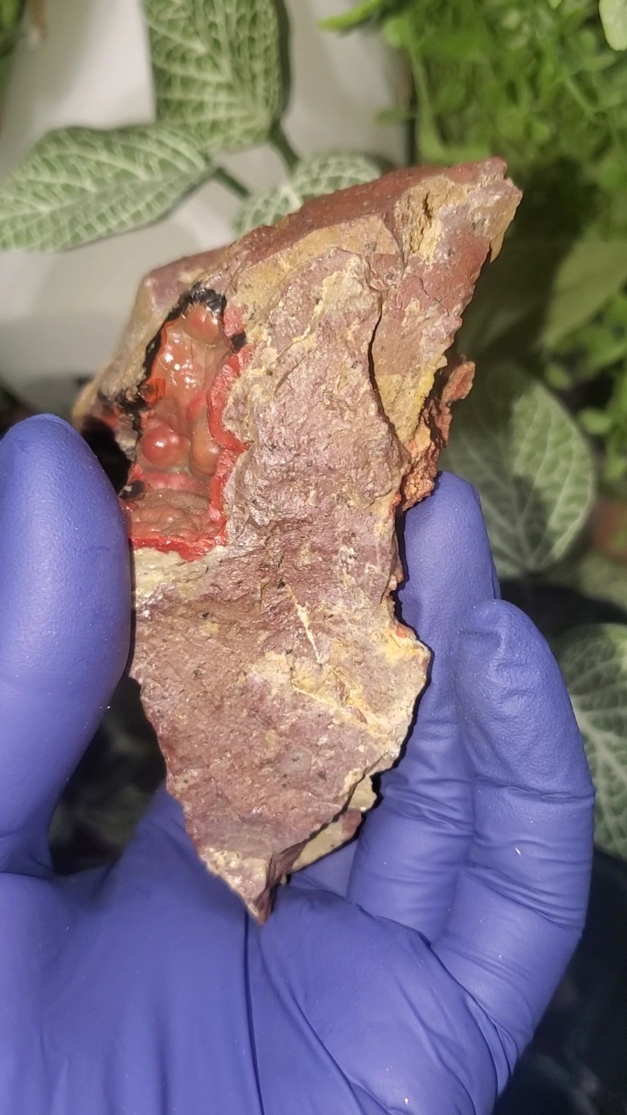 Volcanic red agate , Warring state agate Mexico 332g