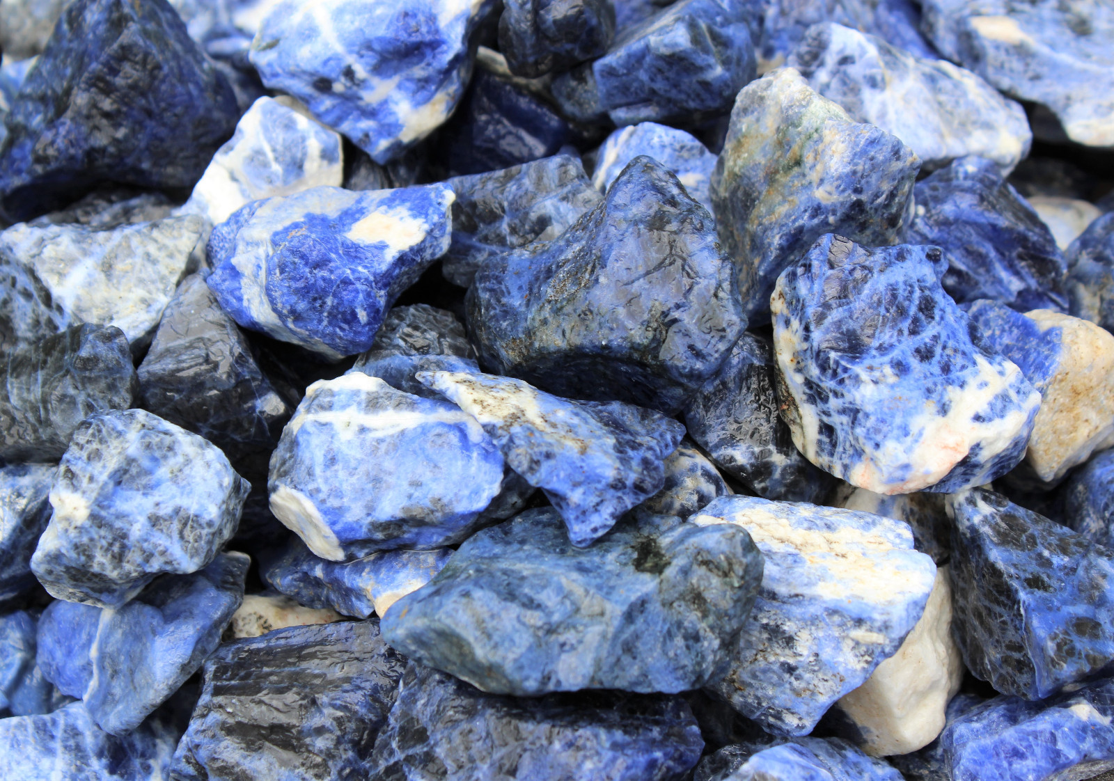 11 lb Rough Sodalite Crystal (Natural Raw Gemstone) Wholesale Bulk Lot
