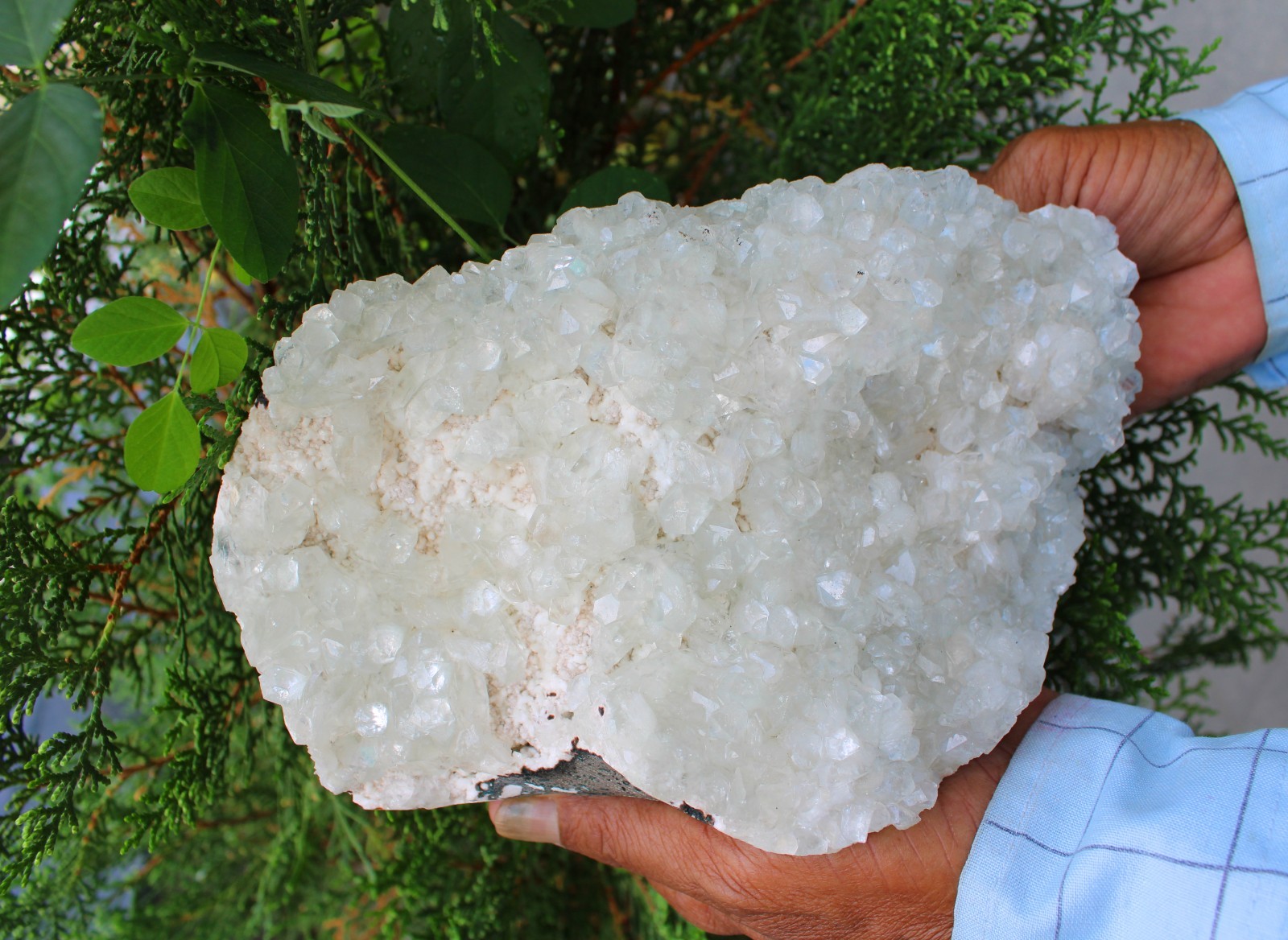Light Green Apophyllite Crystals On Matrix Mineral Specimen