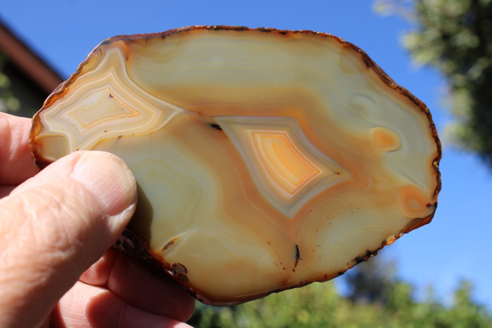 Natural 5” Geode Slice Amber Orange Brown Tones Agate 3/4” Thick-401 grams