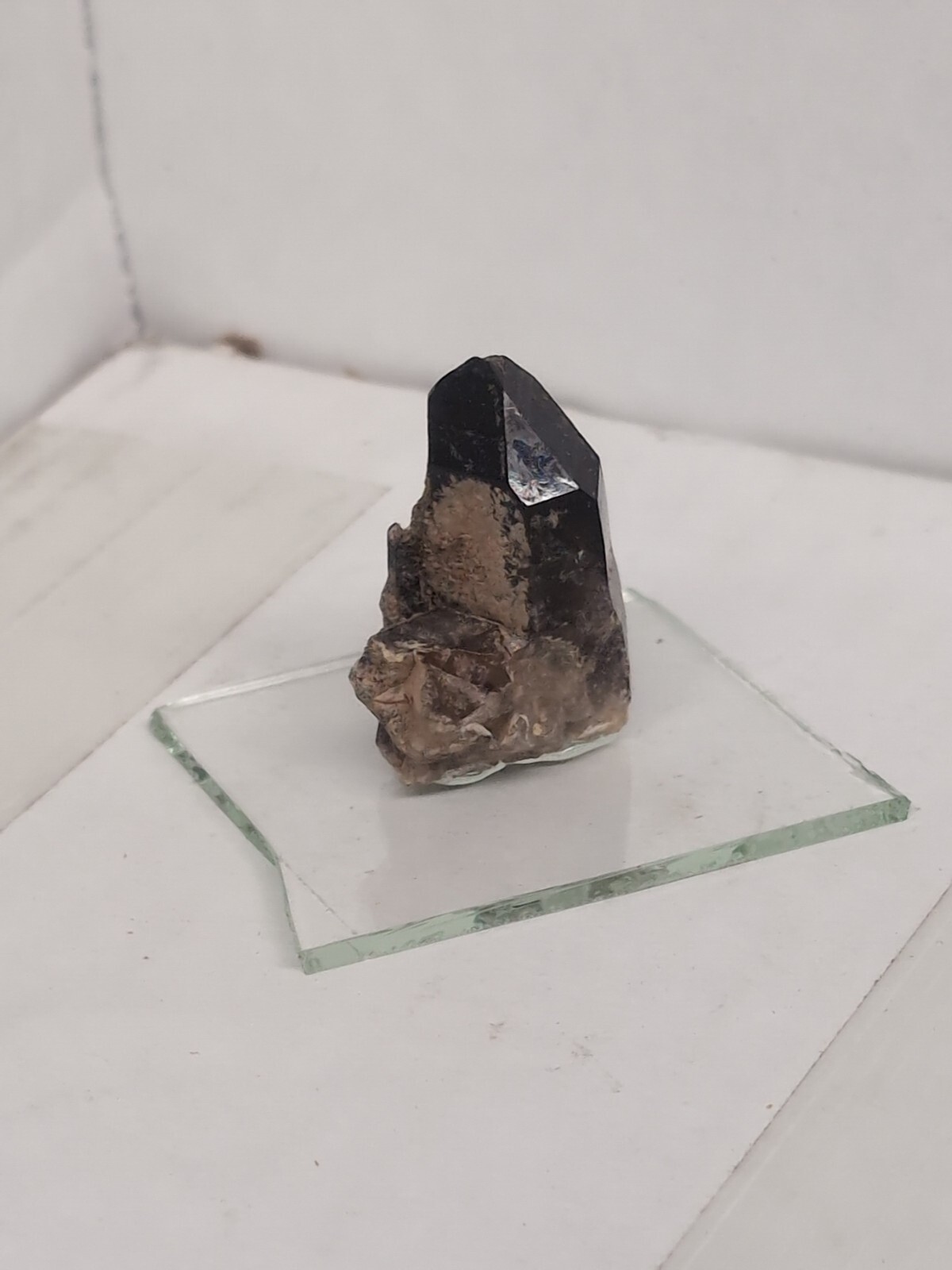 Rare Black Widow Quartz Point Hand Dug Colorado USA crystals Hard To Find