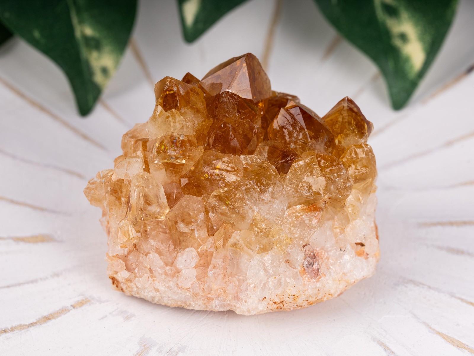 Citrine Cluster Crystal Specimen Natural Quartz Formation Golden Druze Decor
