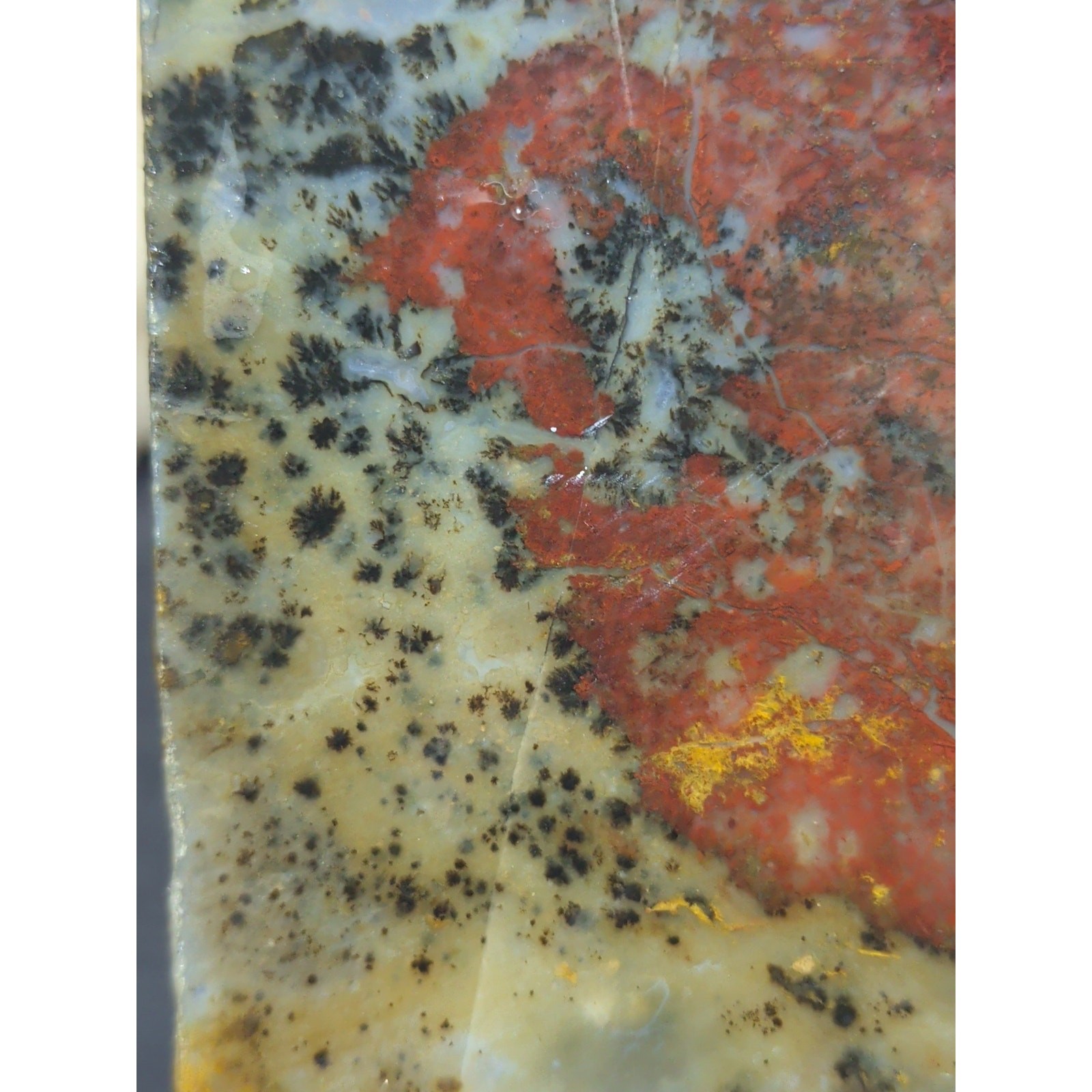 Jasper Dendric Multicolored Polished Slab Specimen (165 Grams)