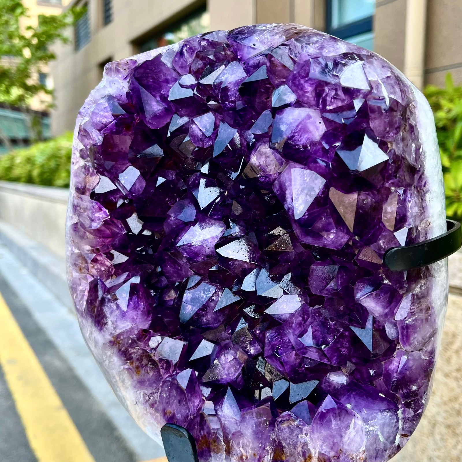 21.71LB Natural Brazilian high-grade amethyst thin skin large teeth