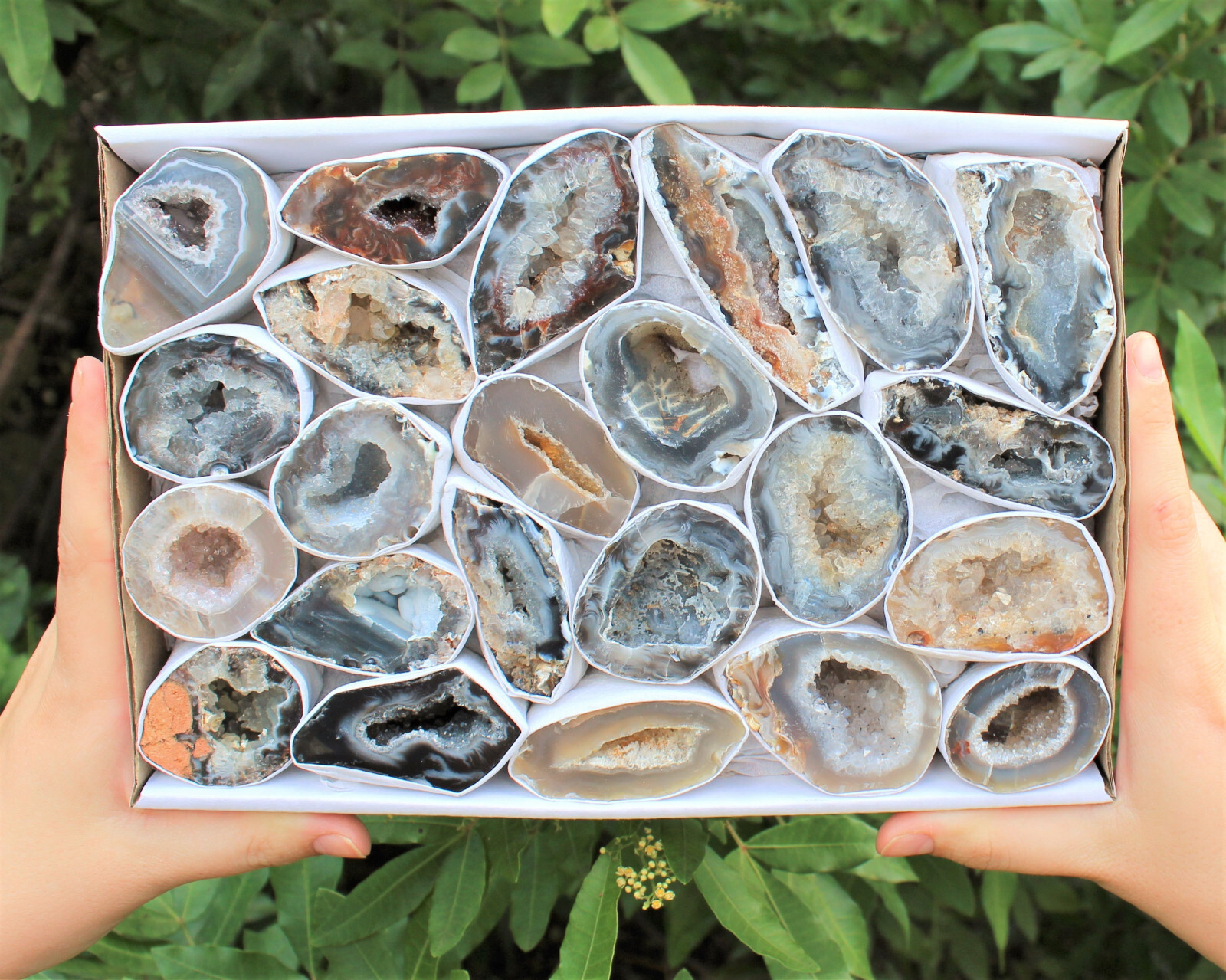 Bulk Large Oco Agate Geodes 1/4 lb Lot, Natural Crystal Druzy Halves (4 oz)