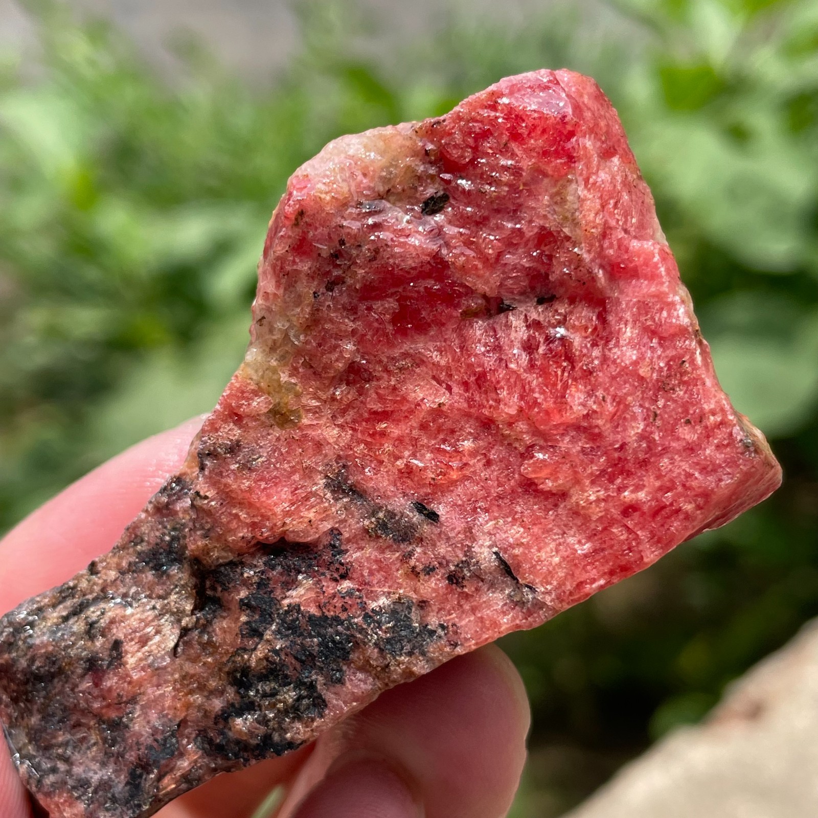 69g Small Raw Ore Red Black Rhodonite Quartz Gemstone Mineral Specimen
