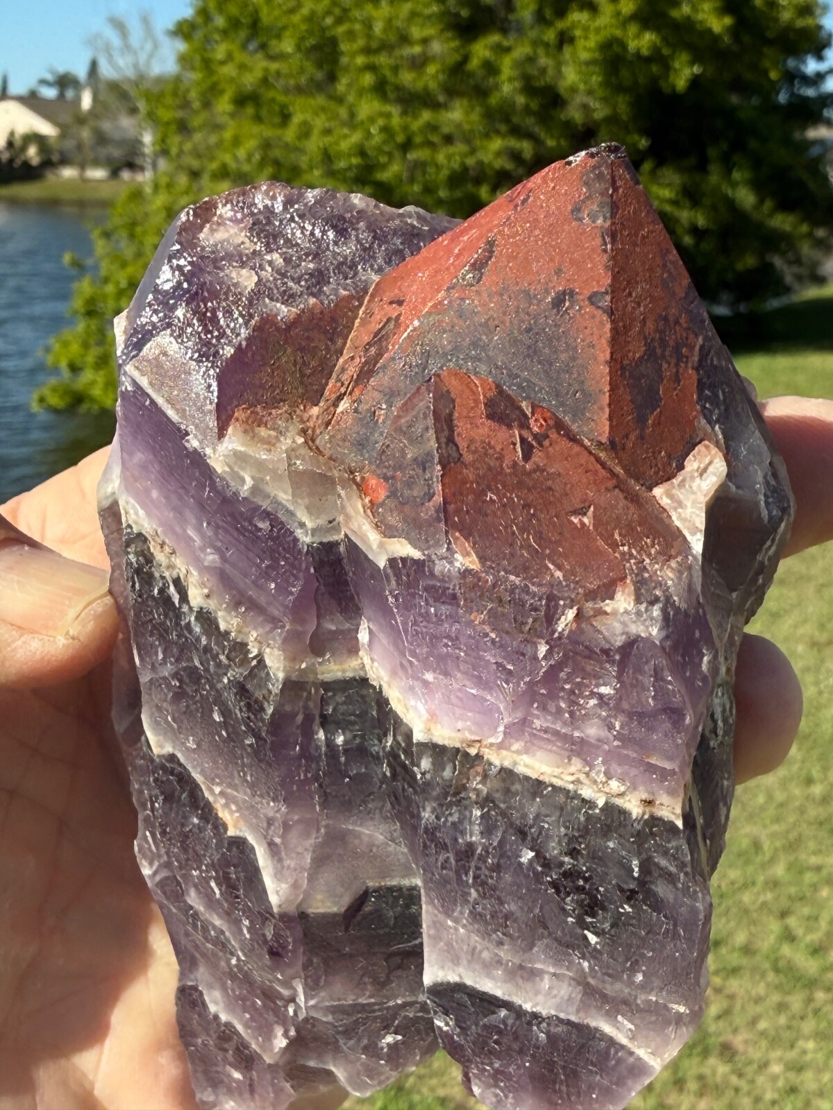 Unique Auralite 23 Crystal Rare chunk from Canada 551 grams 6″