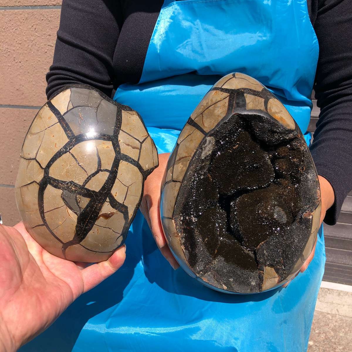 7550G Natural Turtle Back Stone Dragon Crystal Cave Crack Gem Healing 4345