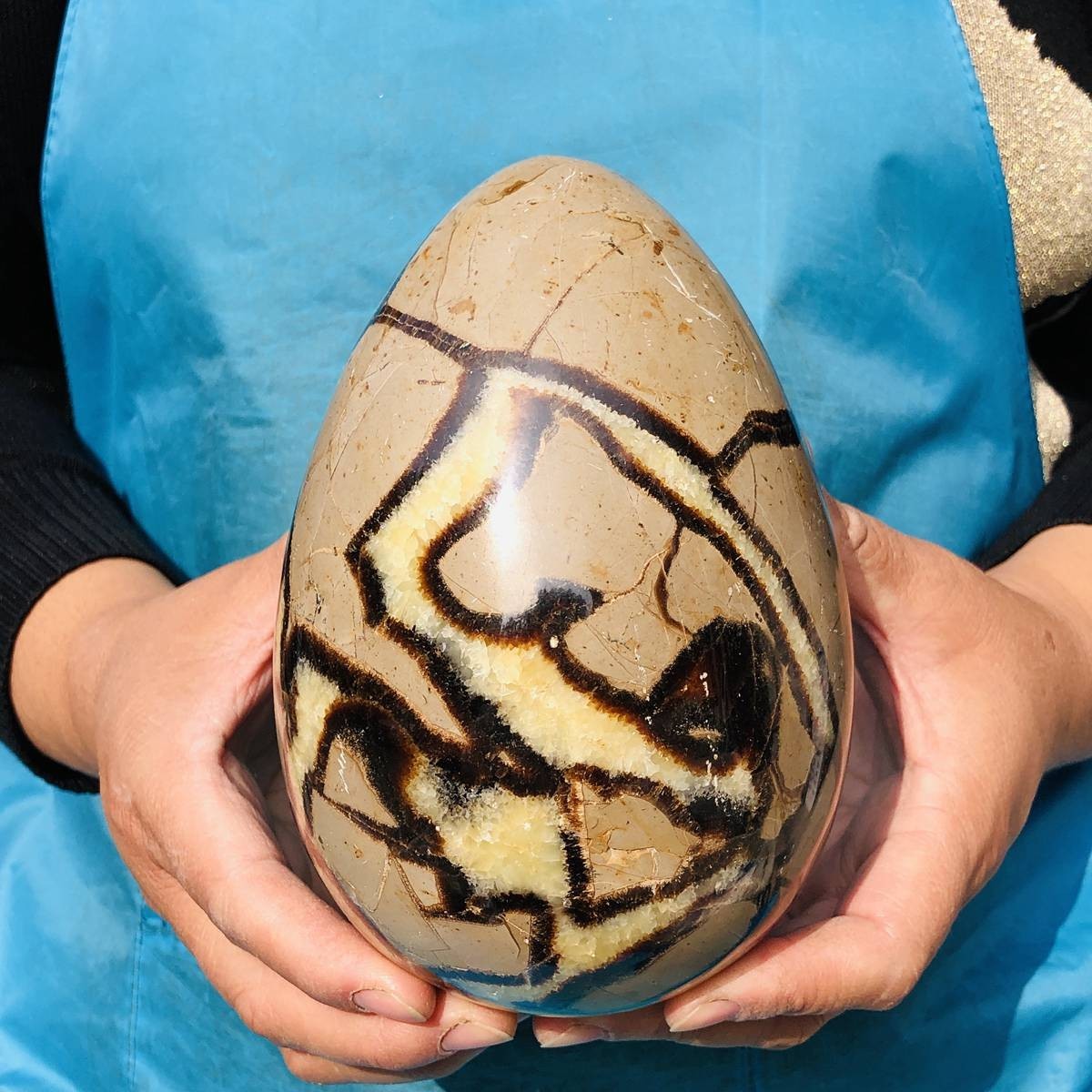 5.06LB Natural Turtle Back Stone Egg Shape Dragon Crystal Crack Healing