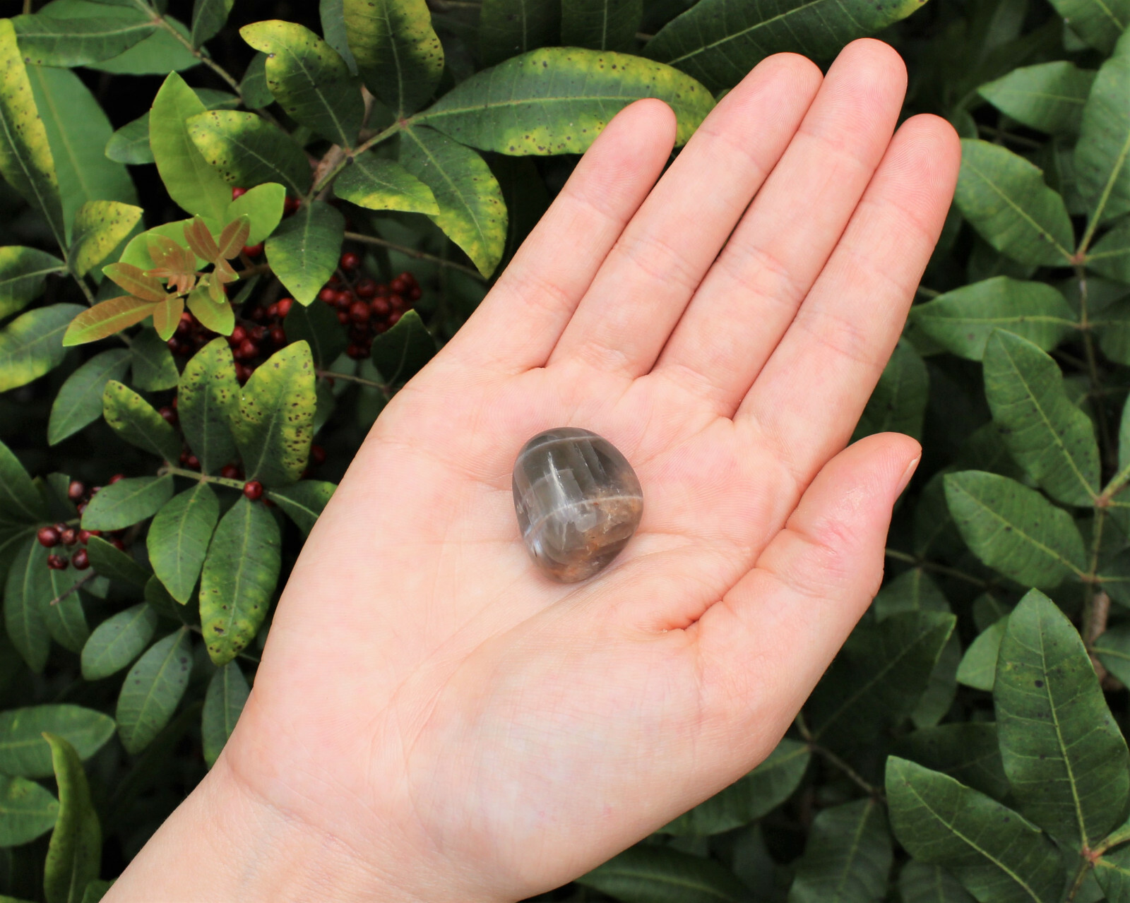 1/2 lb Bulk Lot BLACK Moonstone Tumbled Stone, Crystal Healing Reiki Tumble 8 oz