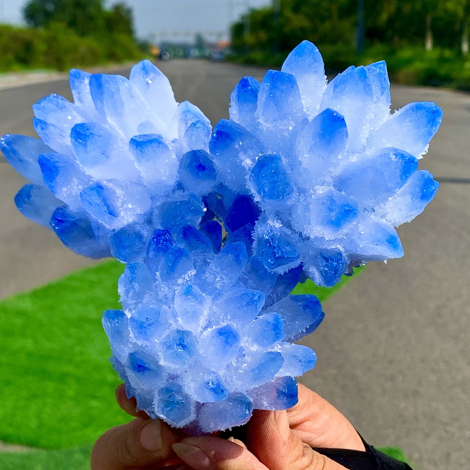 1.85LB Newly discovered blue phantom crystal quartz cluster mineral sample