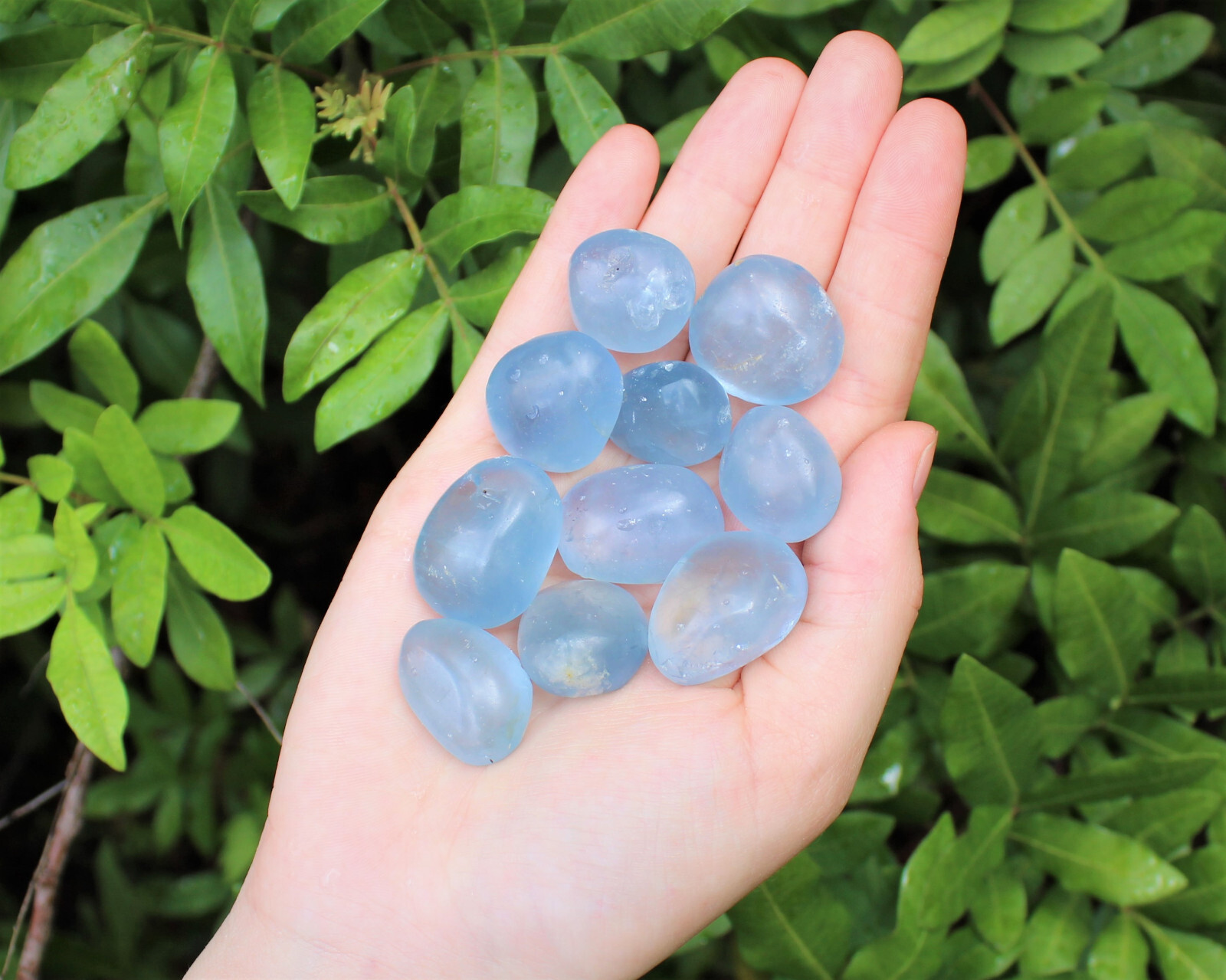 1/4 lb Bulk Medium Blue Celestite Tumbled Stones Crystal Rare Celestine 4 oz
