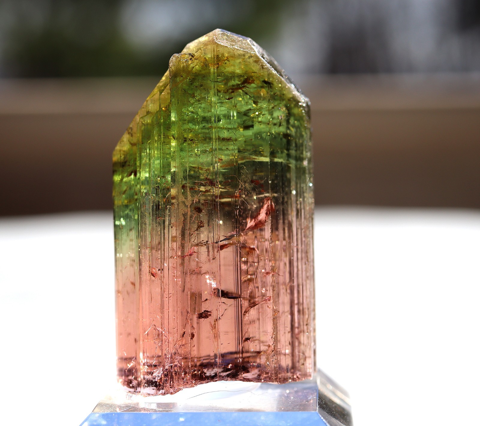 Gem Tourmaline. Nuaparra Pegmatite, Zambezia Prov., Mozambique. About 50 grams