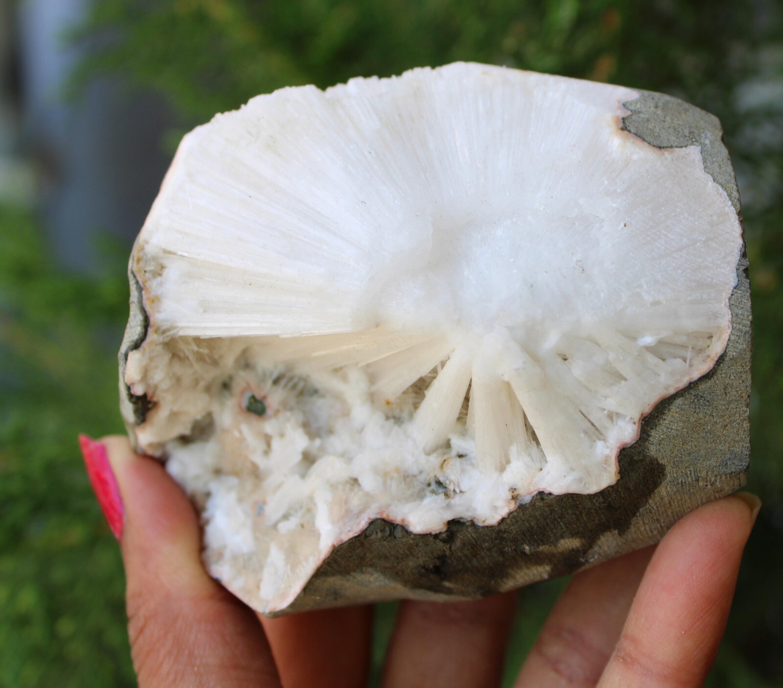 Scolecite On Matrix Natural Minerals Specimen ( 8×7 Cm’s) #M54