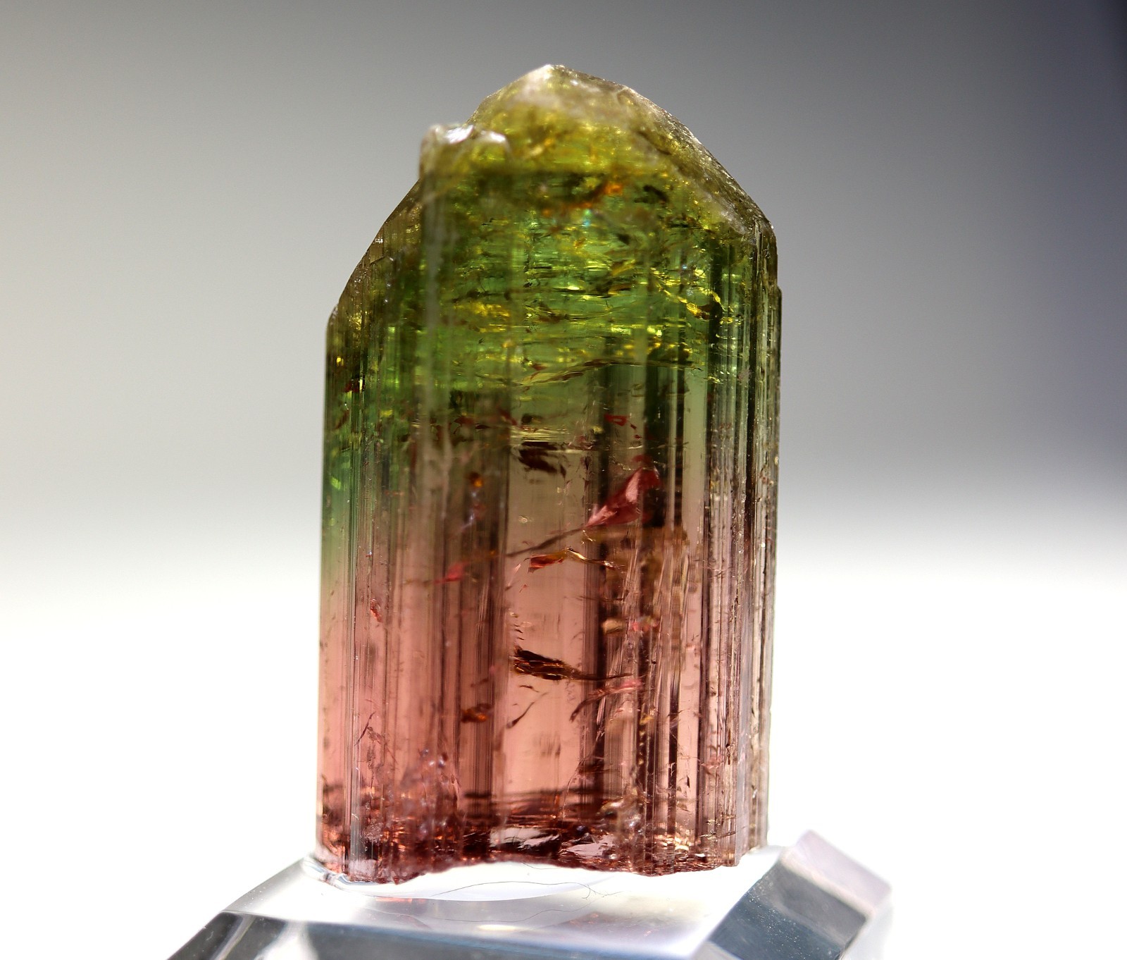 Gem Tourmaline. Nuaparra Pegmatite, Zambezia Prov., Mozambique. About 50 grams