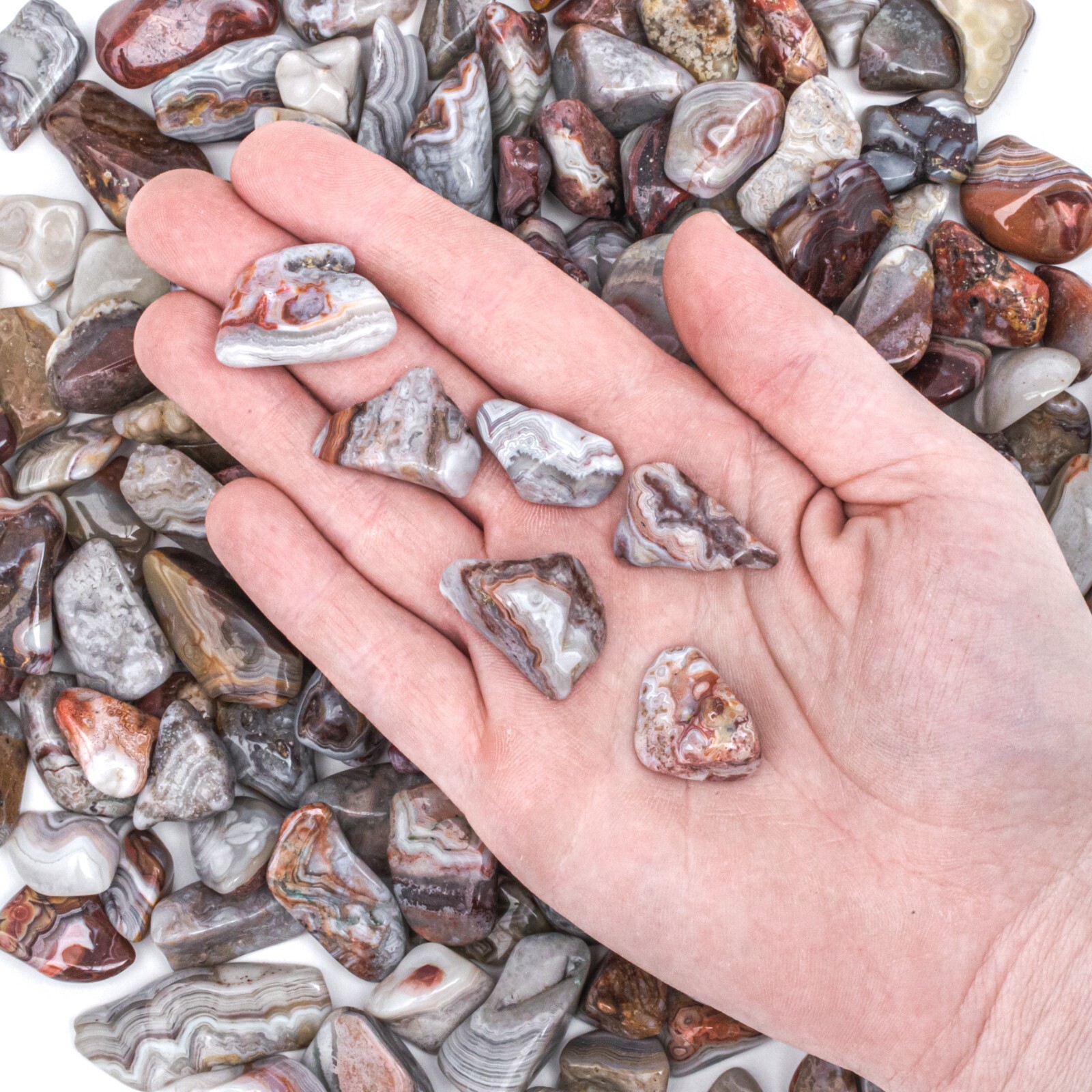 Medium Tumbled Crazy Lace Agate Gemstone Crystals Jewelry Making Gem Rock