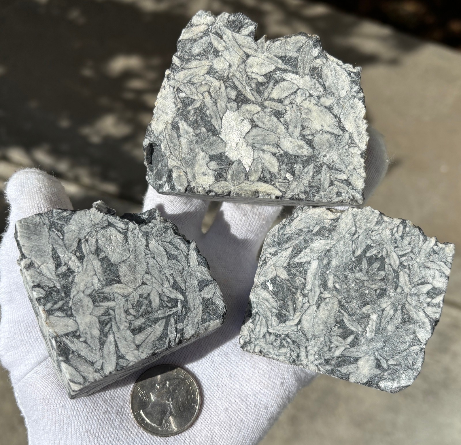 1lb+ LOT PINOLITH JASPER ROUGH LARGE SPECIMENS SPECIMEN 1 POUND LARGE CHUNKS