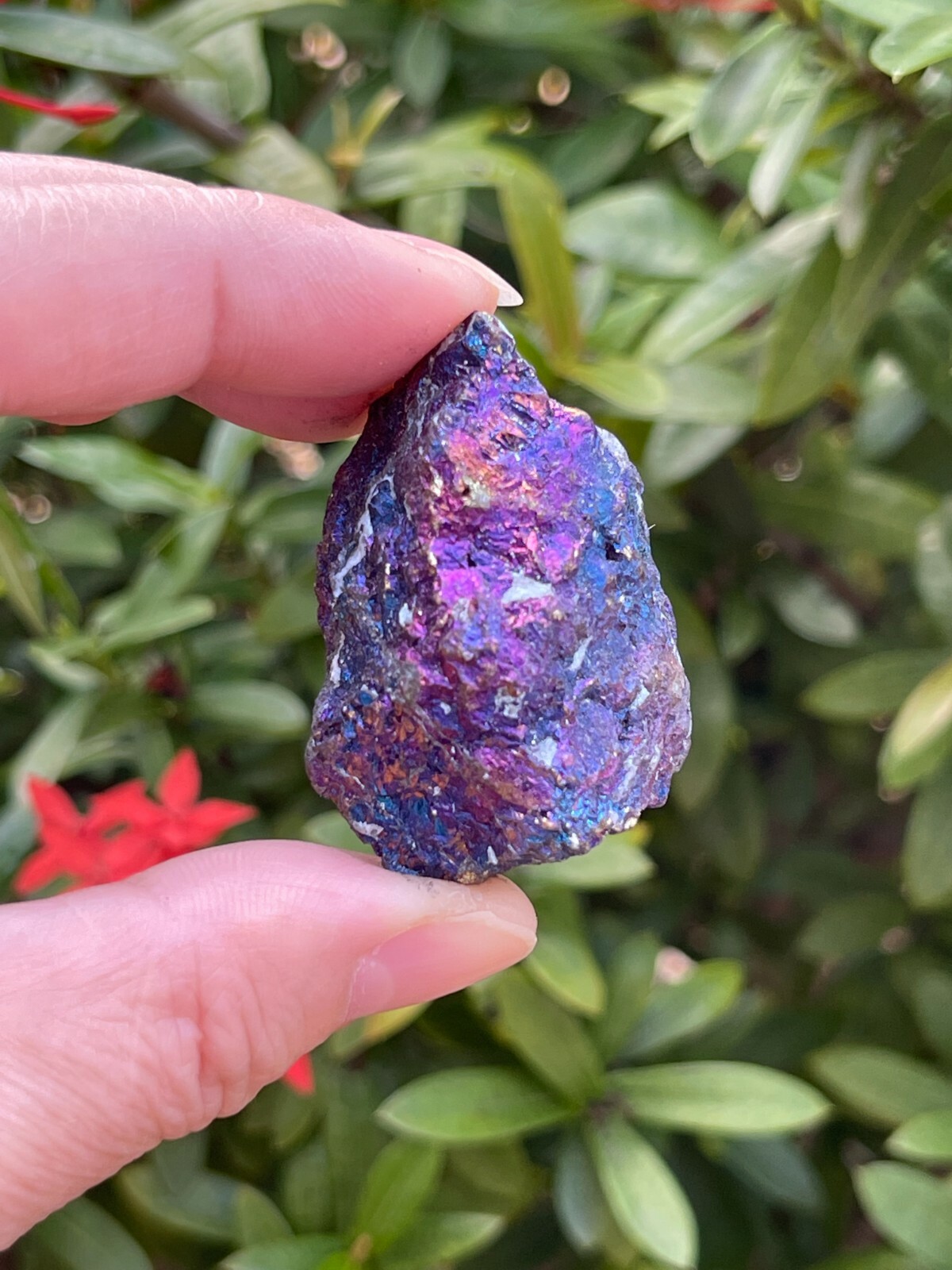 Grade A++ Chalcopyrite Natural Stone, 1.5-2″ Raw Peacock Ore Stone,Pick How Many