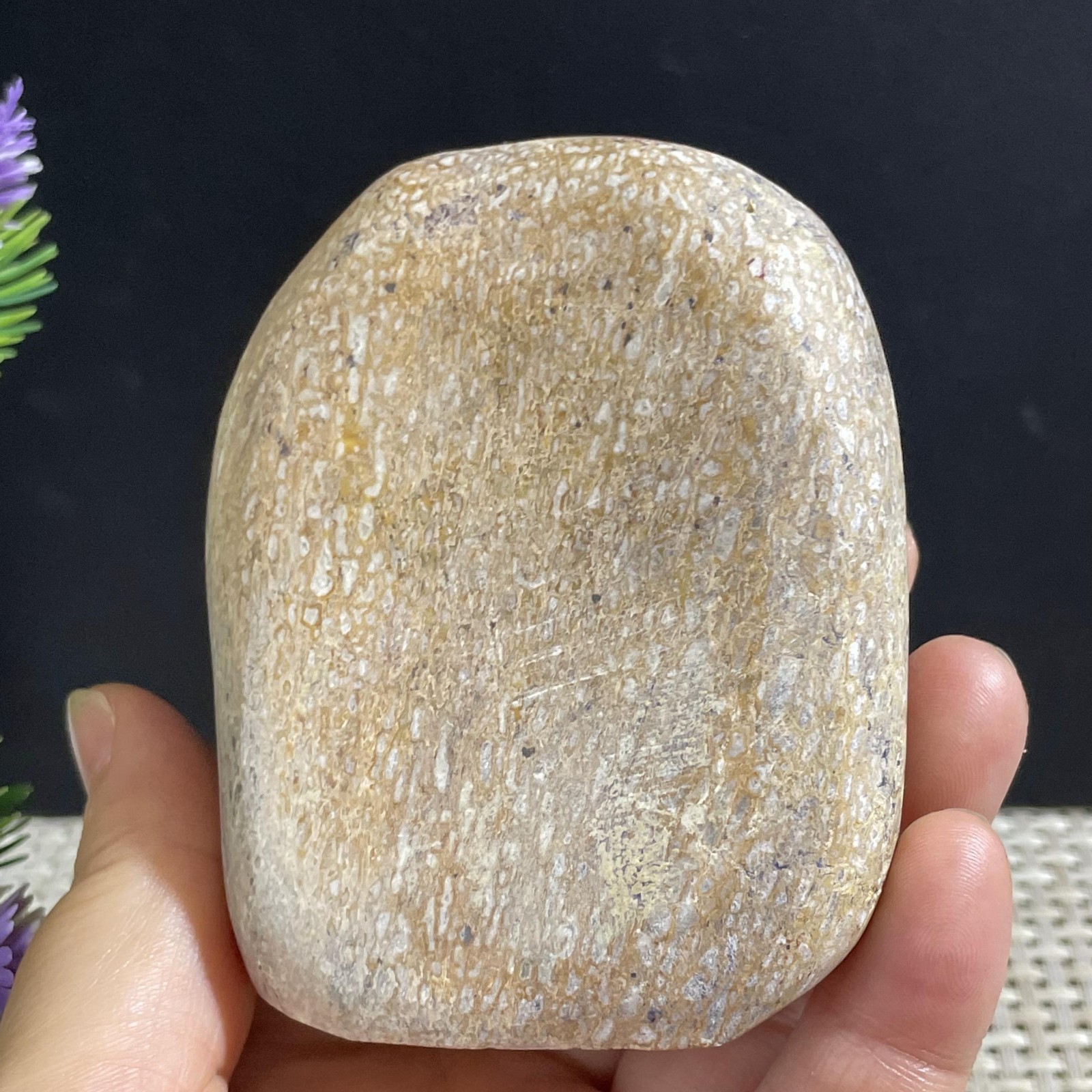 314g Handcrafted polishing of natural skeletal in Madagascar