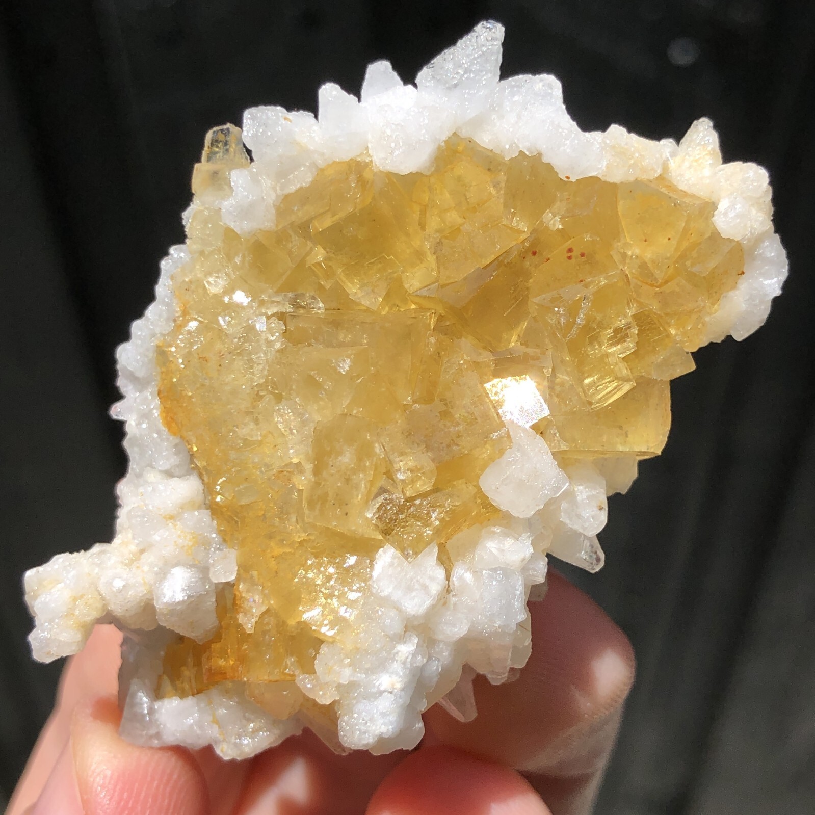 6.1cm Yellow Fluorite w/ Calcite Crystals from Minerva No. 1 Mine, Illinois, USA