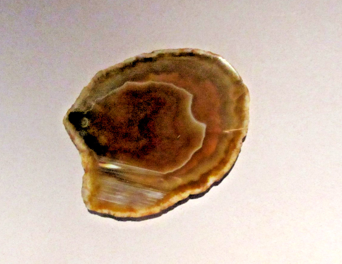 Agate Quartz Crystal Blended Brown Geode Cut Polished Slice Flat ~3.50″x2.50″