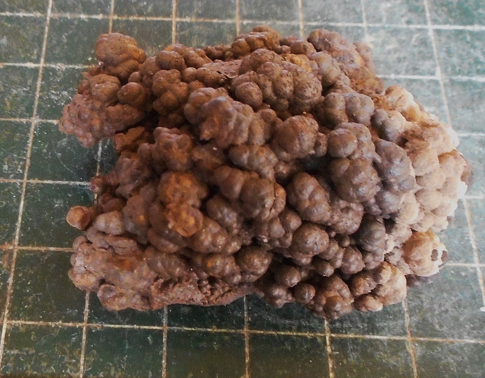 Brown Bubbly Goethite Crystal Plate . Natural Specimen . 2.5″